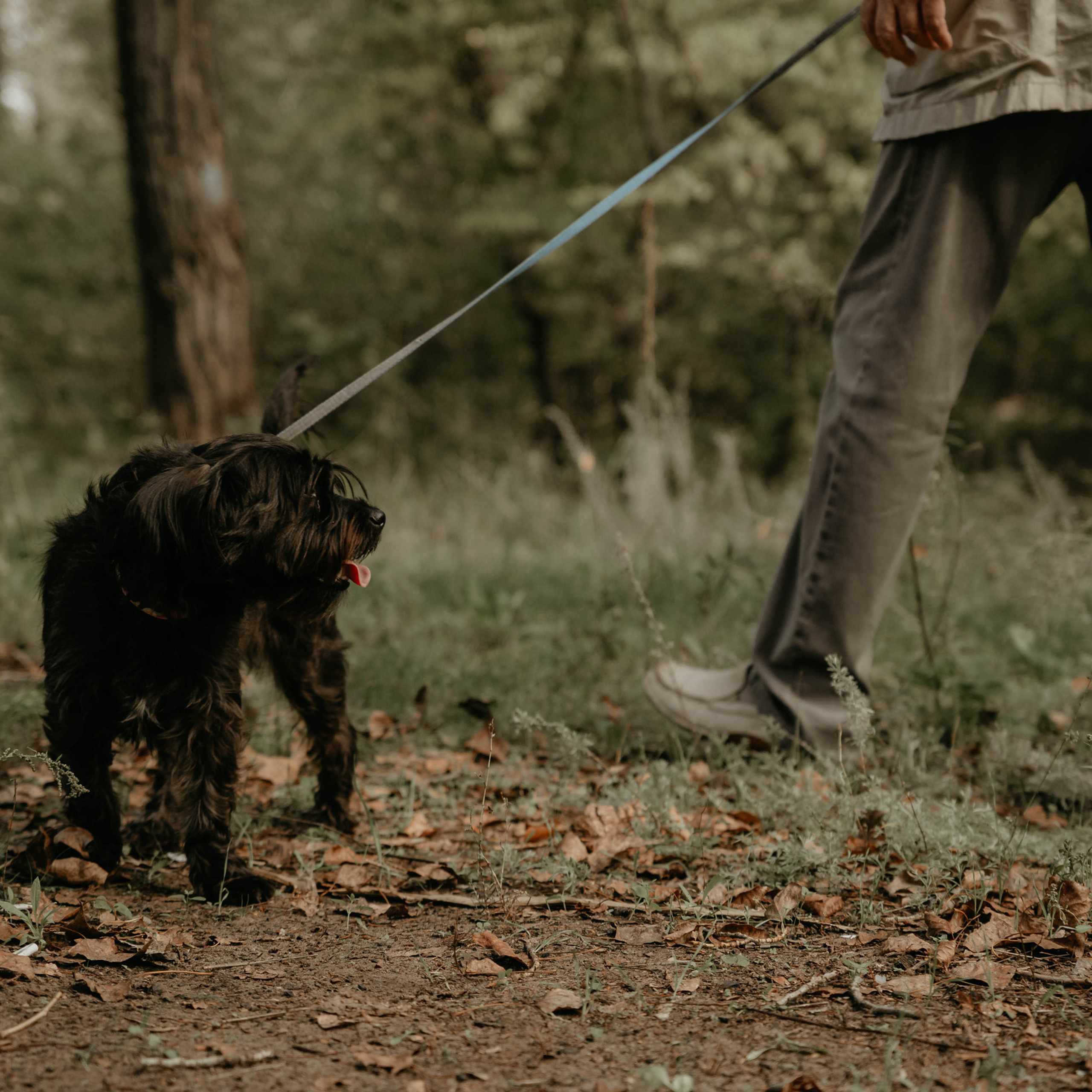 Отзывы. Фотограф в Москве и любой точке земного шара Алёна Вялова (Чулкова)