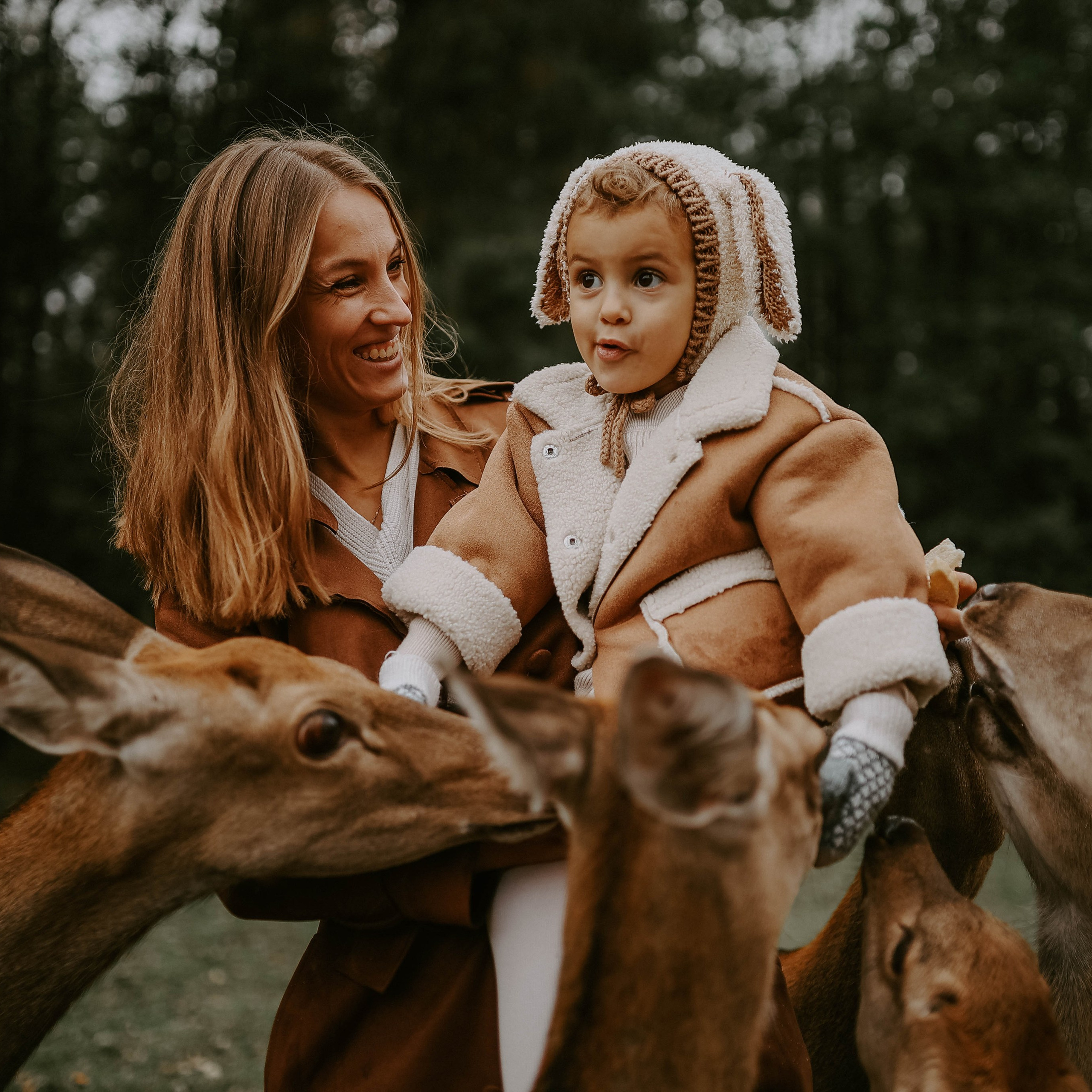 Фотовстреча с оленями