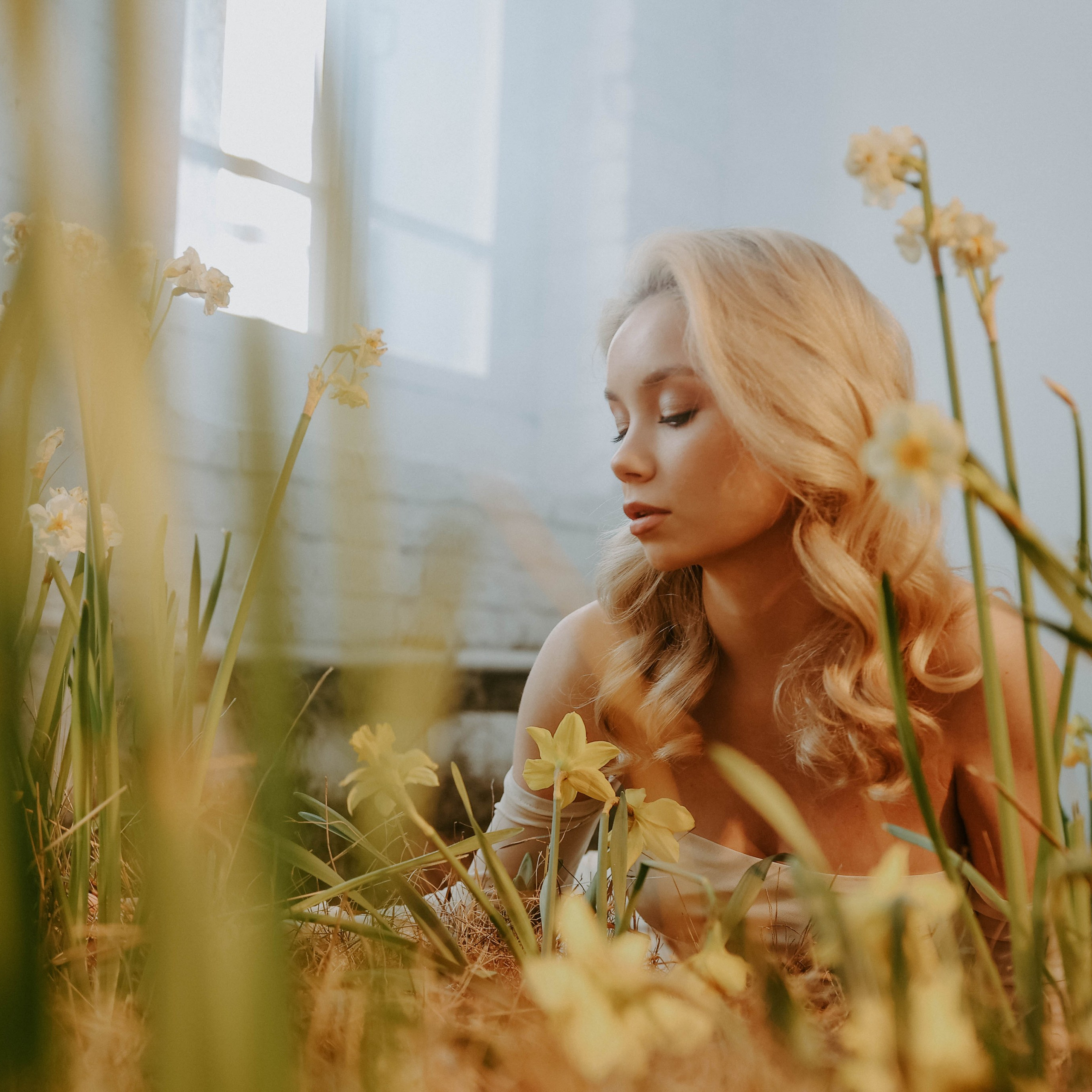 Весна. Нарциссы