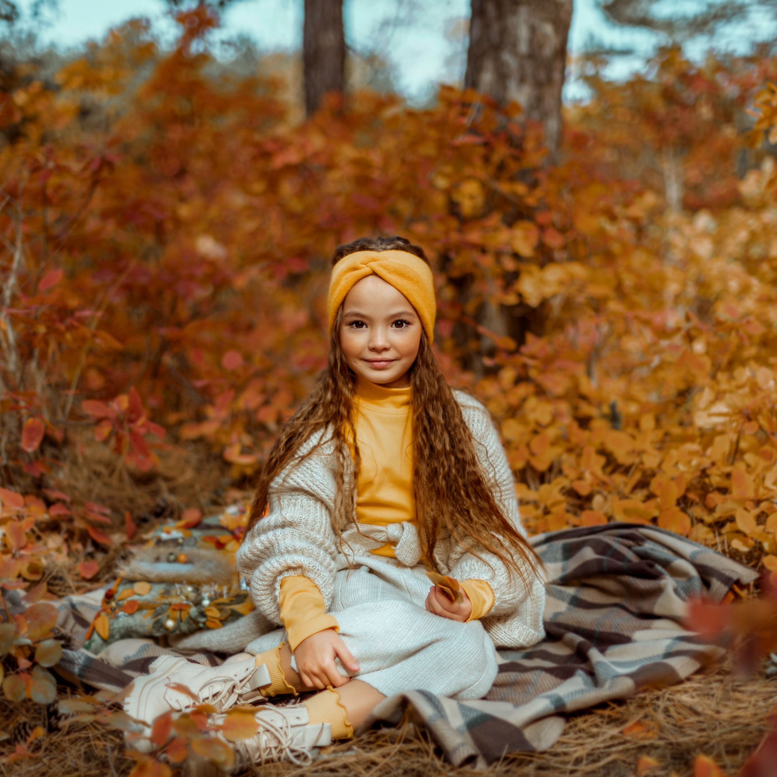 ОСЕННИЙ ЛЕС