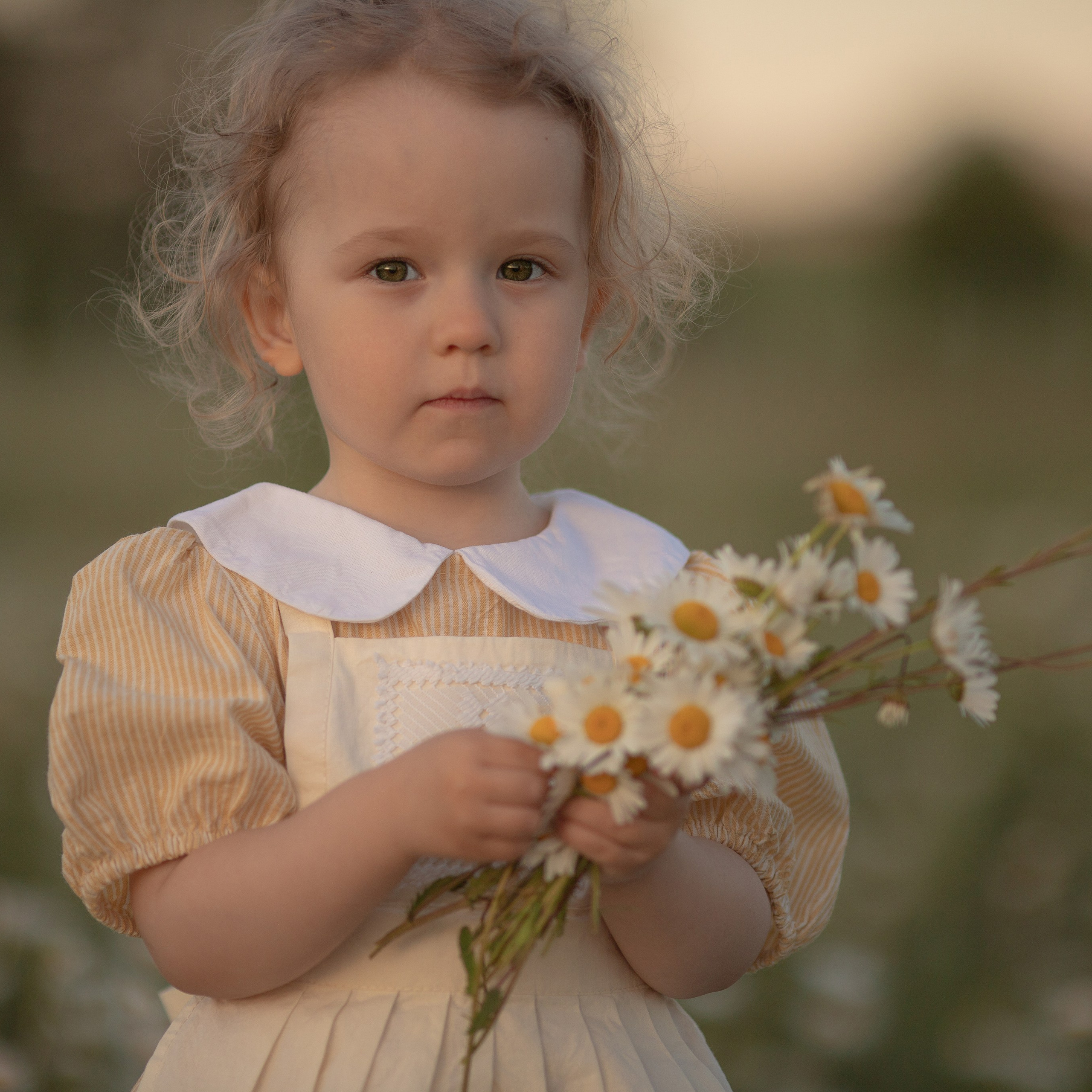 В ромашках