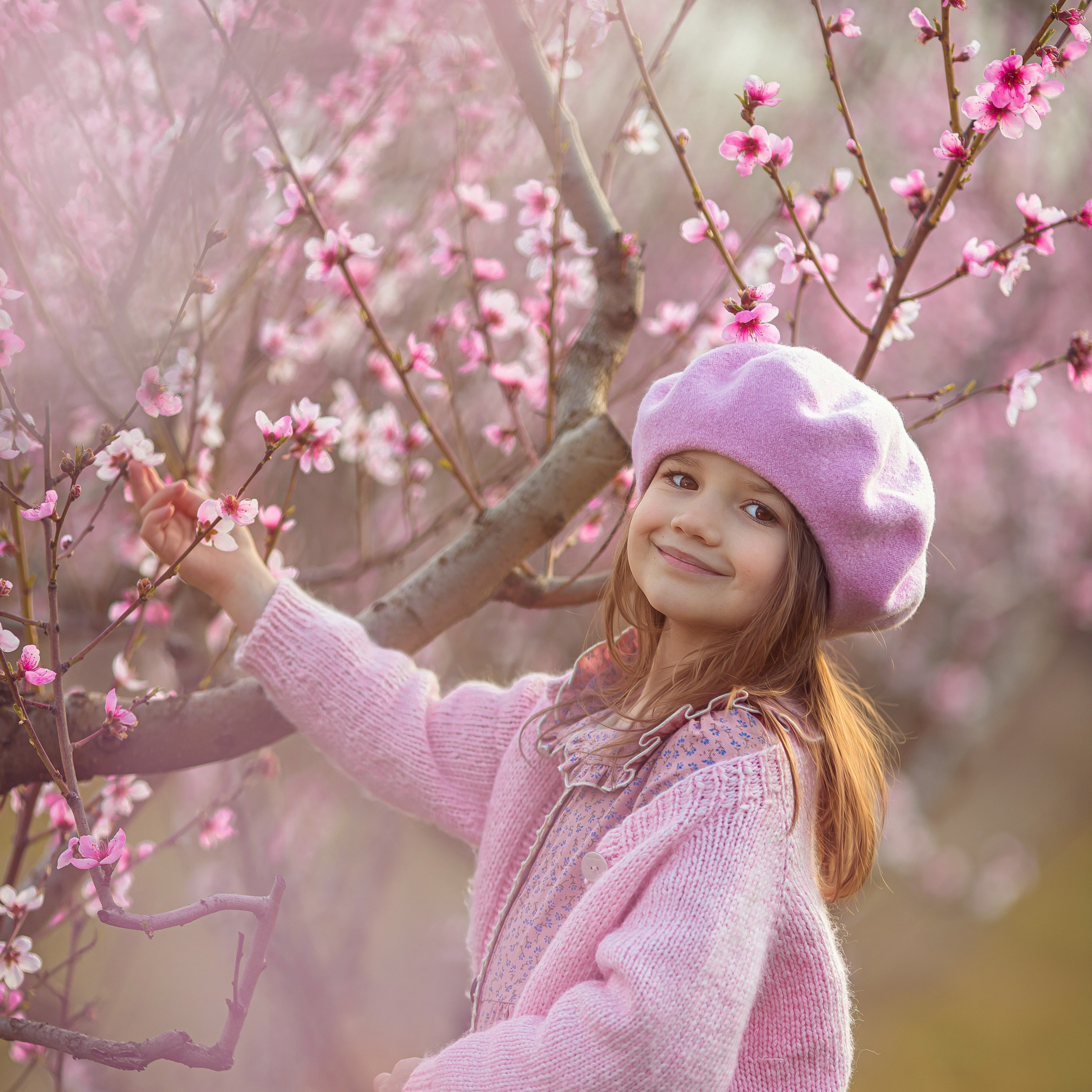 Цветущие персики 2025 г.