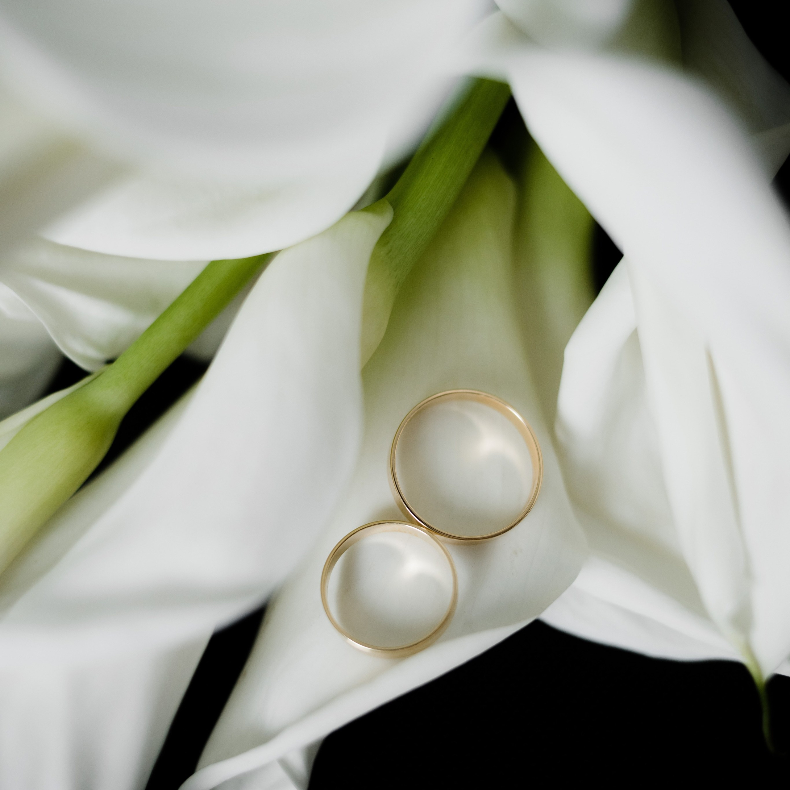 Отзывы. Свадебный и семейный фотограф