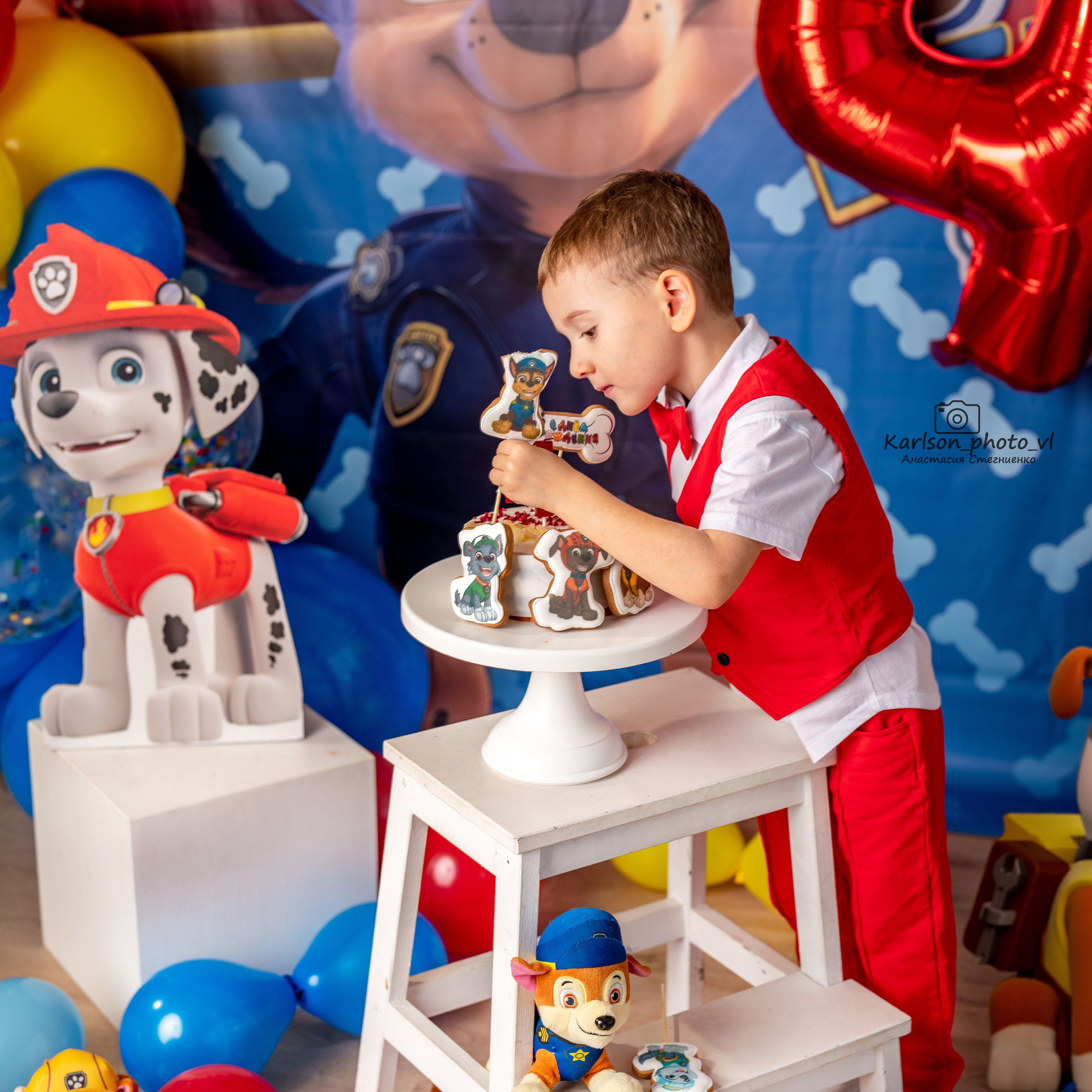 Фотозоны. Детский и семейный фотограф в Москве Анастасия Стегниенко