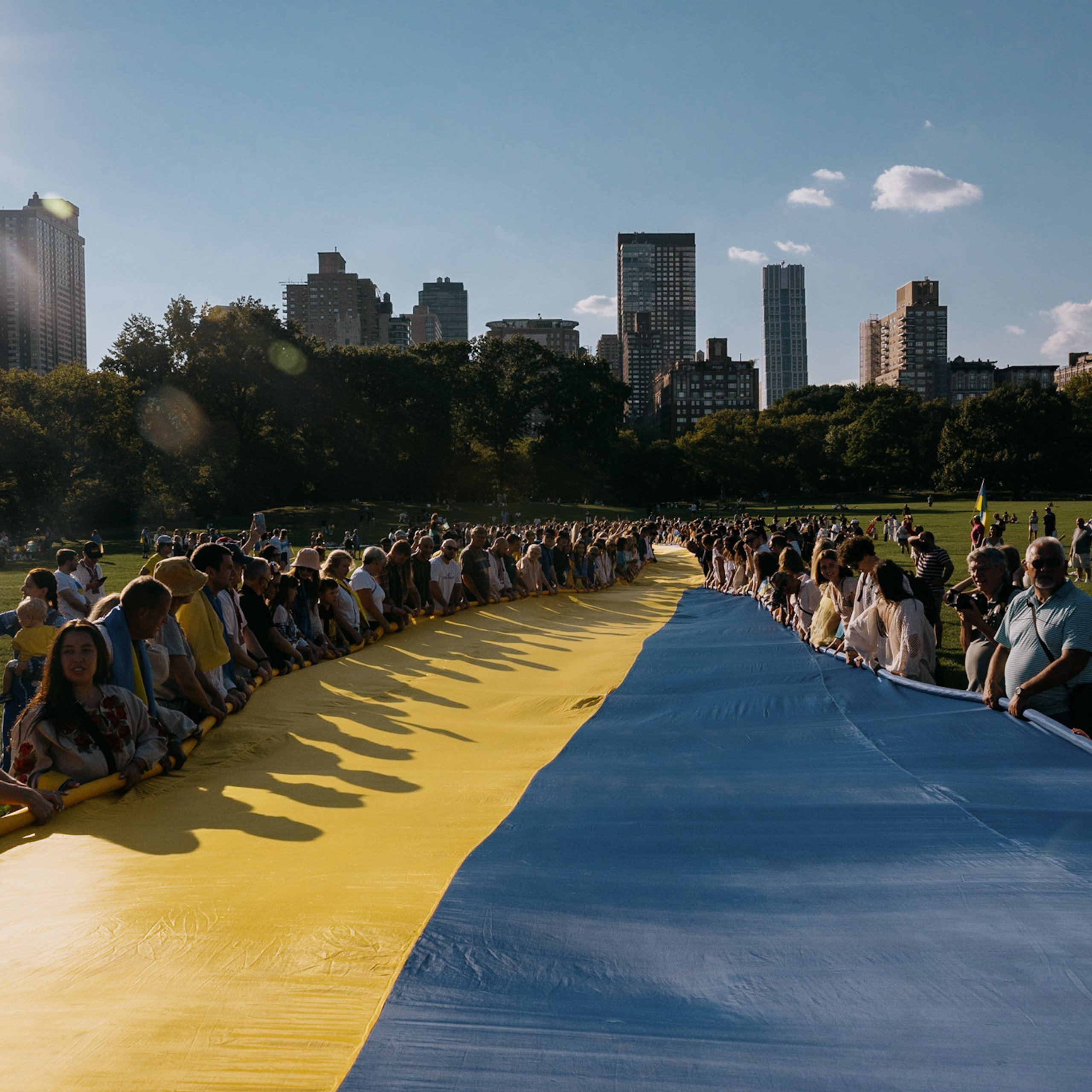 Testimonials. Dinara Khairova