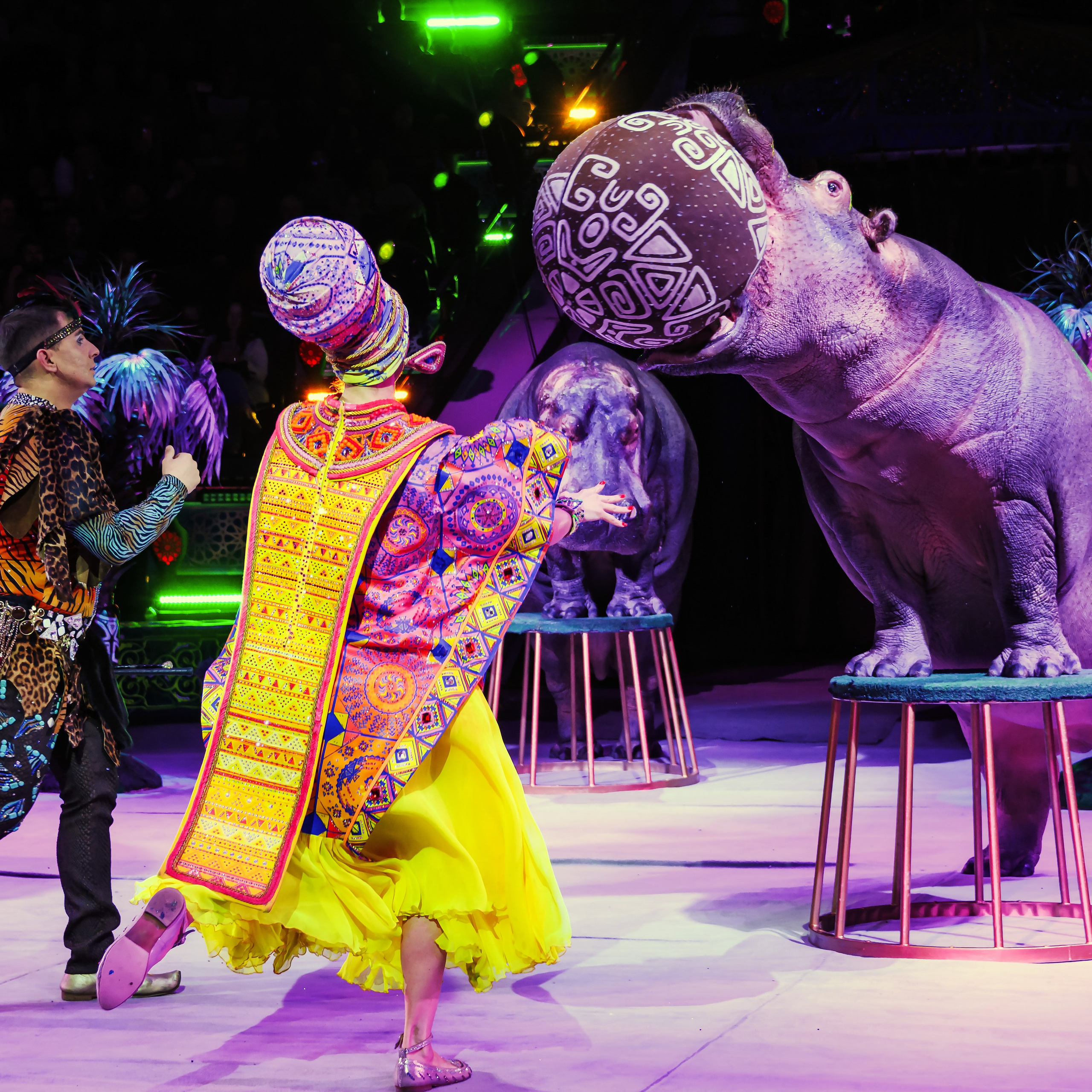 Песчаная сказка Гии Эрадзе — волшебное шоу 🎪, которое должен увидеть каждый, кто ценит красоту🌹, талант 🎭 и умение мечтать 💫. Цирковой фотограф Андрей Пухов (Jazz)