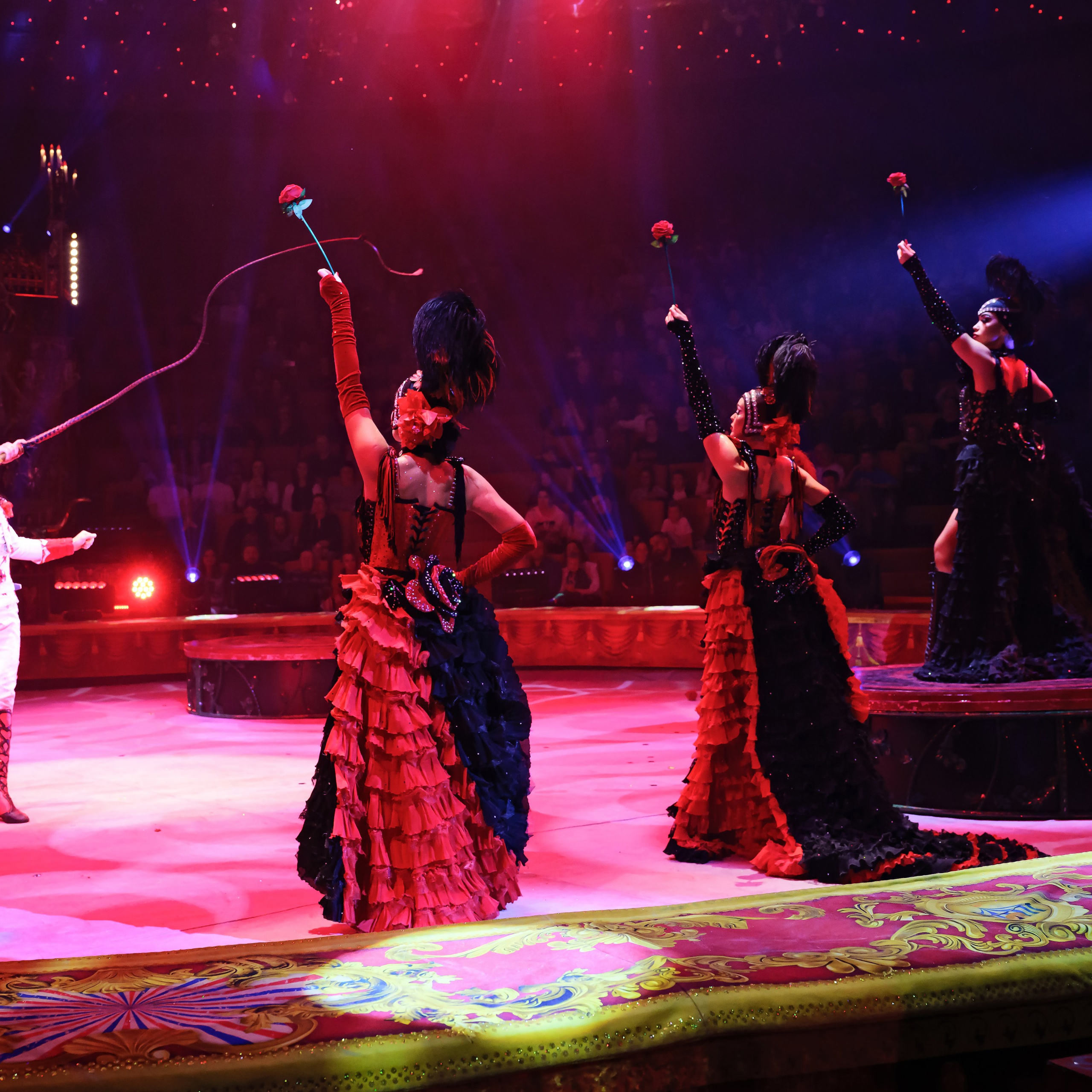 Royal Circus (новые номера). Фотограф Андрей Пухов (Jazz)