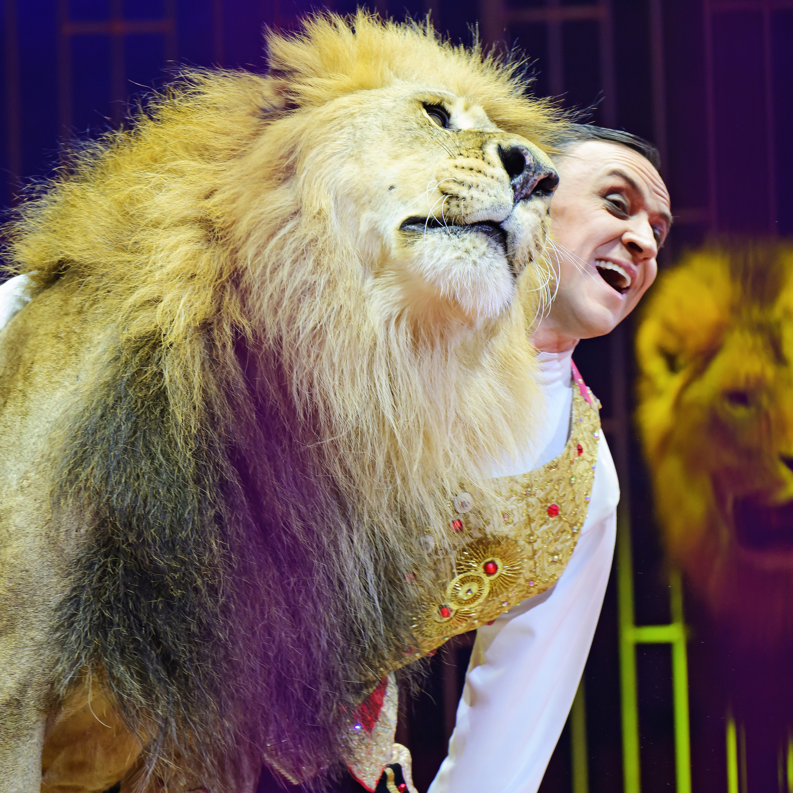 Принц Цирка (Продюсерский центр Влада Гончарова)🎪🦁. Фотограф Андрей Пухов (Jazz)