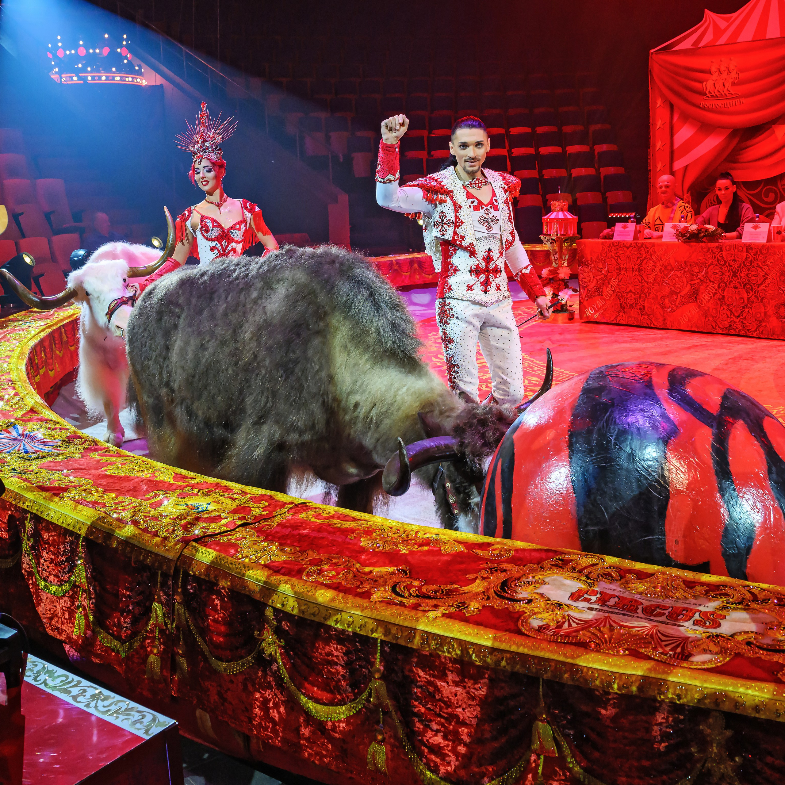 Пресс показ «Королевский цирк». Фотограф Андрей Пухов (Jazz)