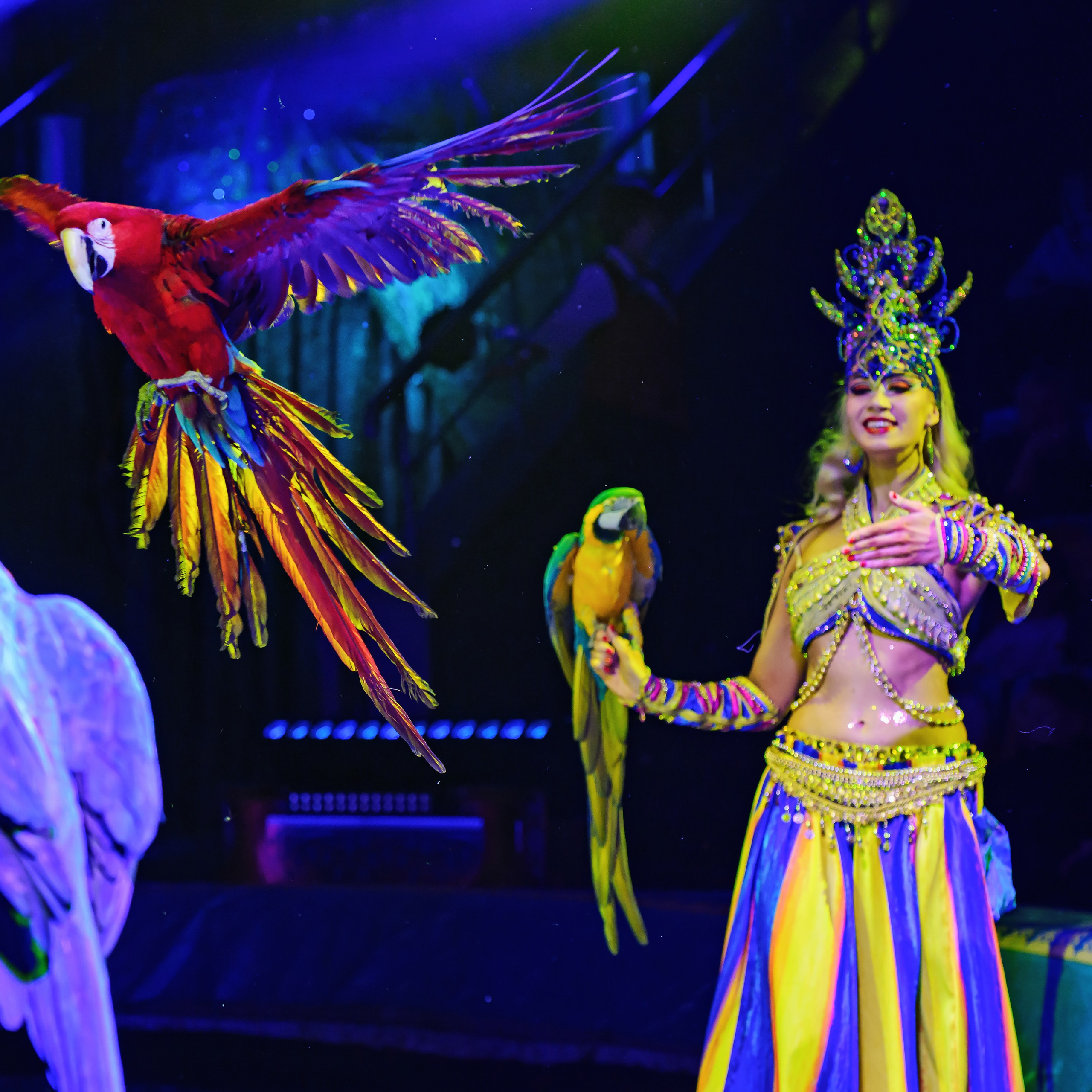 Песчаная сказка — Нижегородский Государственный Цирк (Премьера). Цирковой фотограф Андрей Пухов (Jazz)
