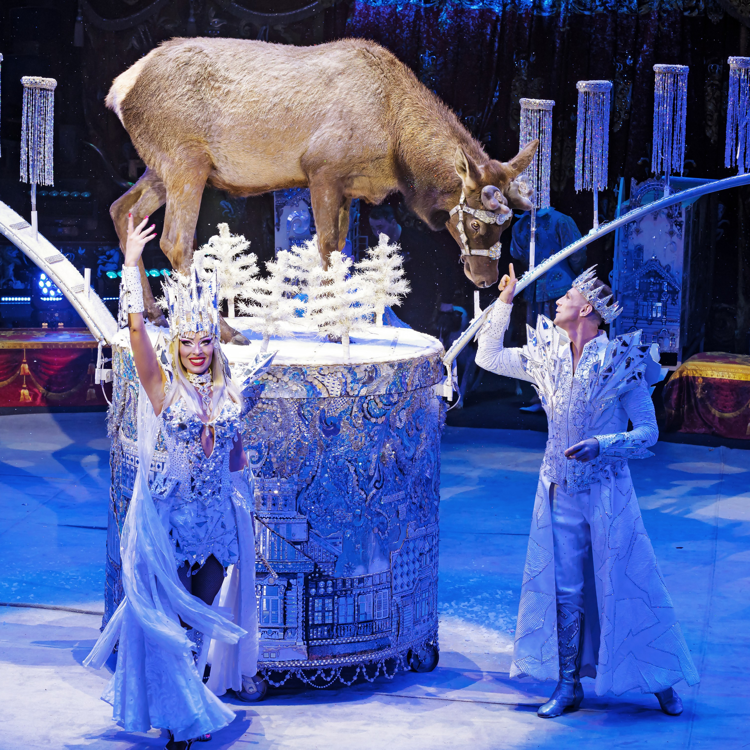 Королевский цирк ПРЕМЬЕРА НН. Фотограф Андрей Пухов (Jazz)