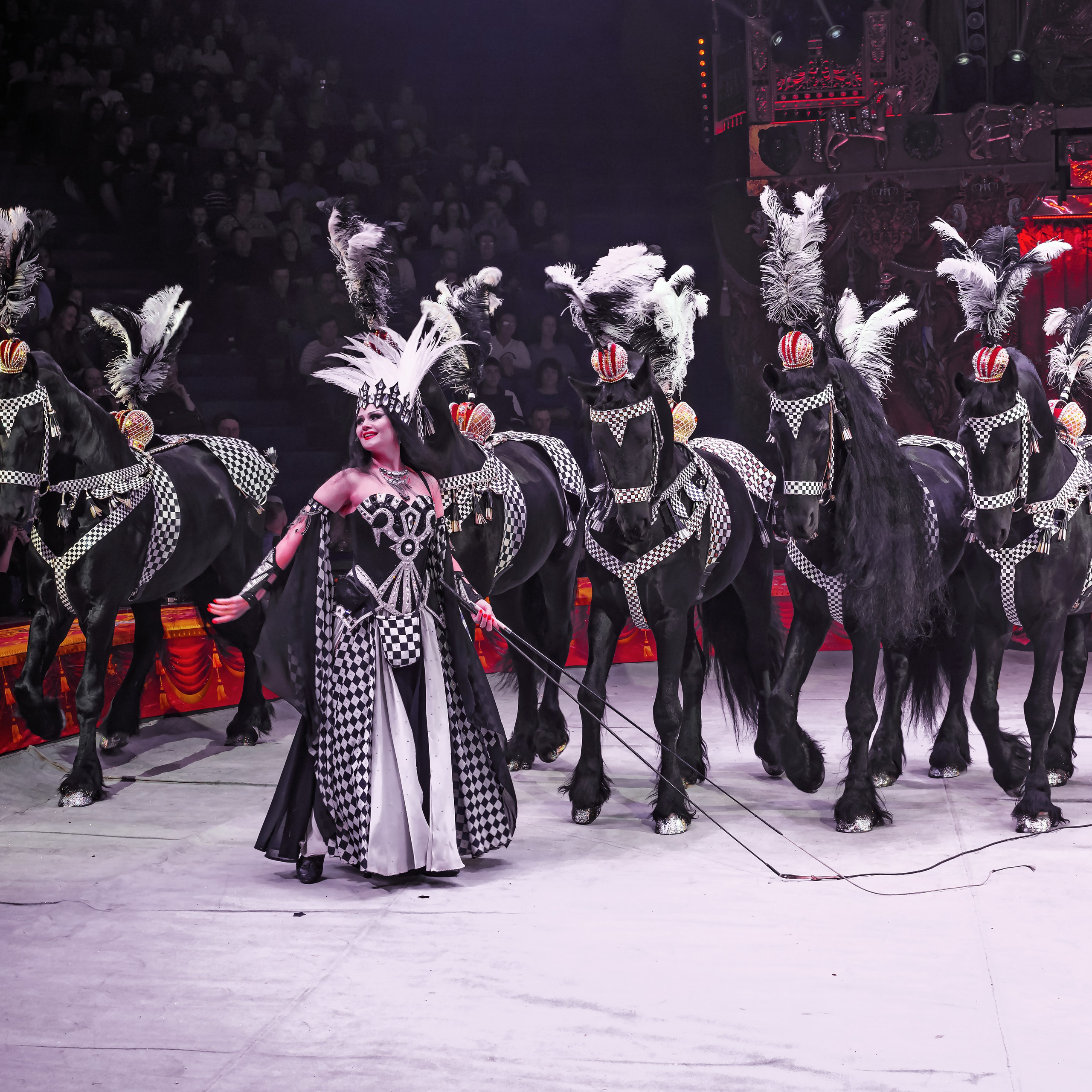 Шоу «Королевский цирк». Фотограф Андрей Пухов (Jazz)