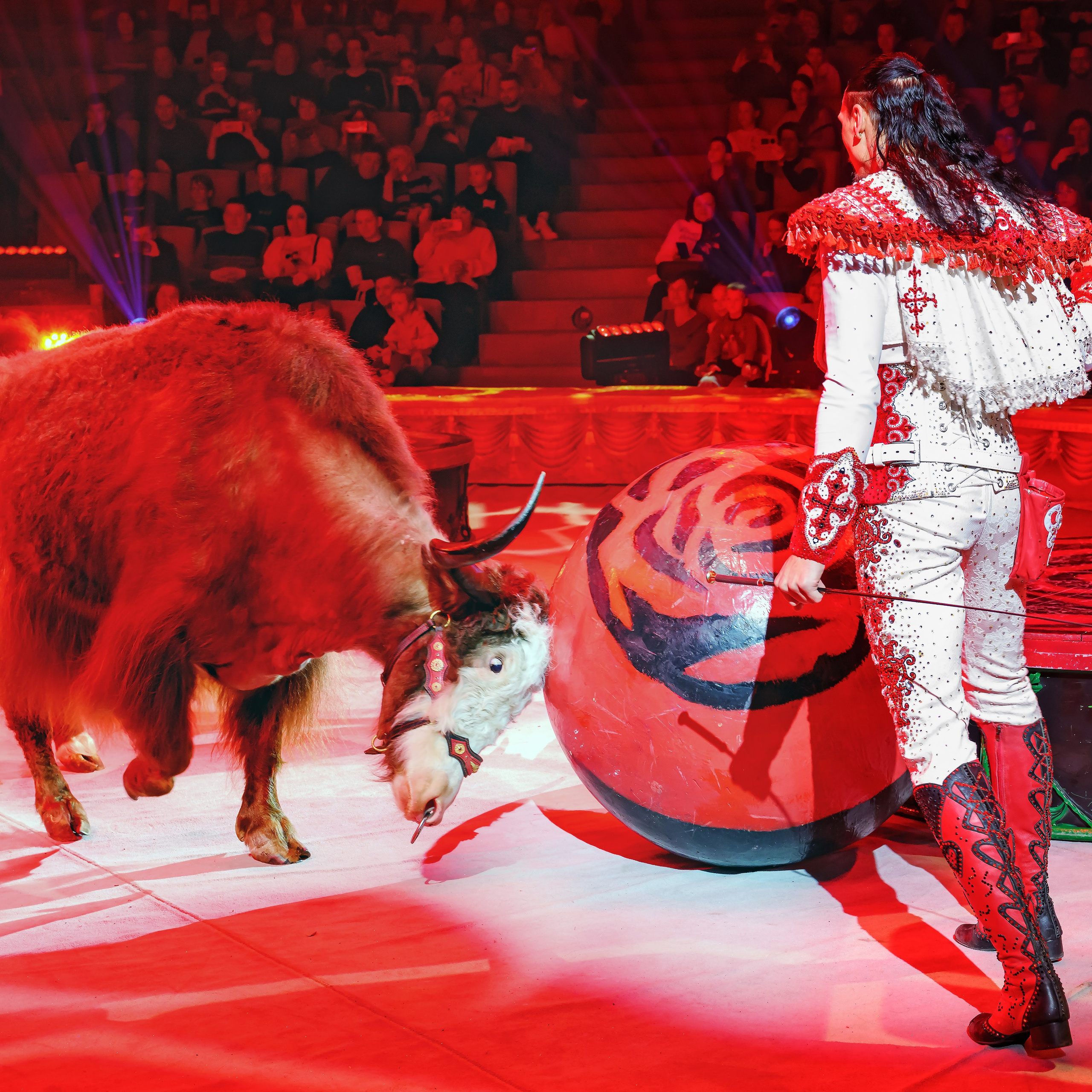 Шоу «Королевский цирк». Фотограф Андрей Пухов (Jazz)