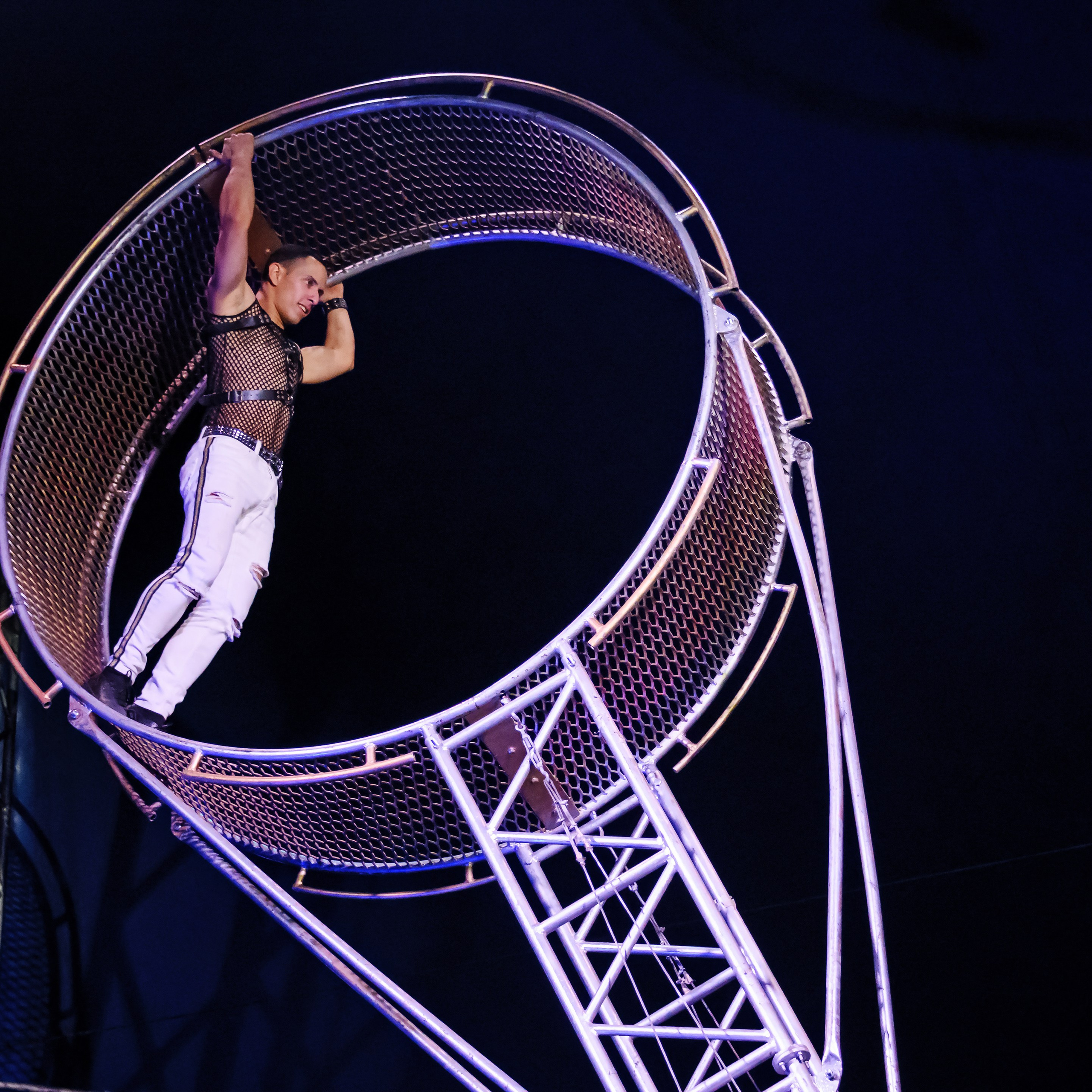 Шоу Демидовых. Цирковой фотограф Андрей Пухов (Jazz)