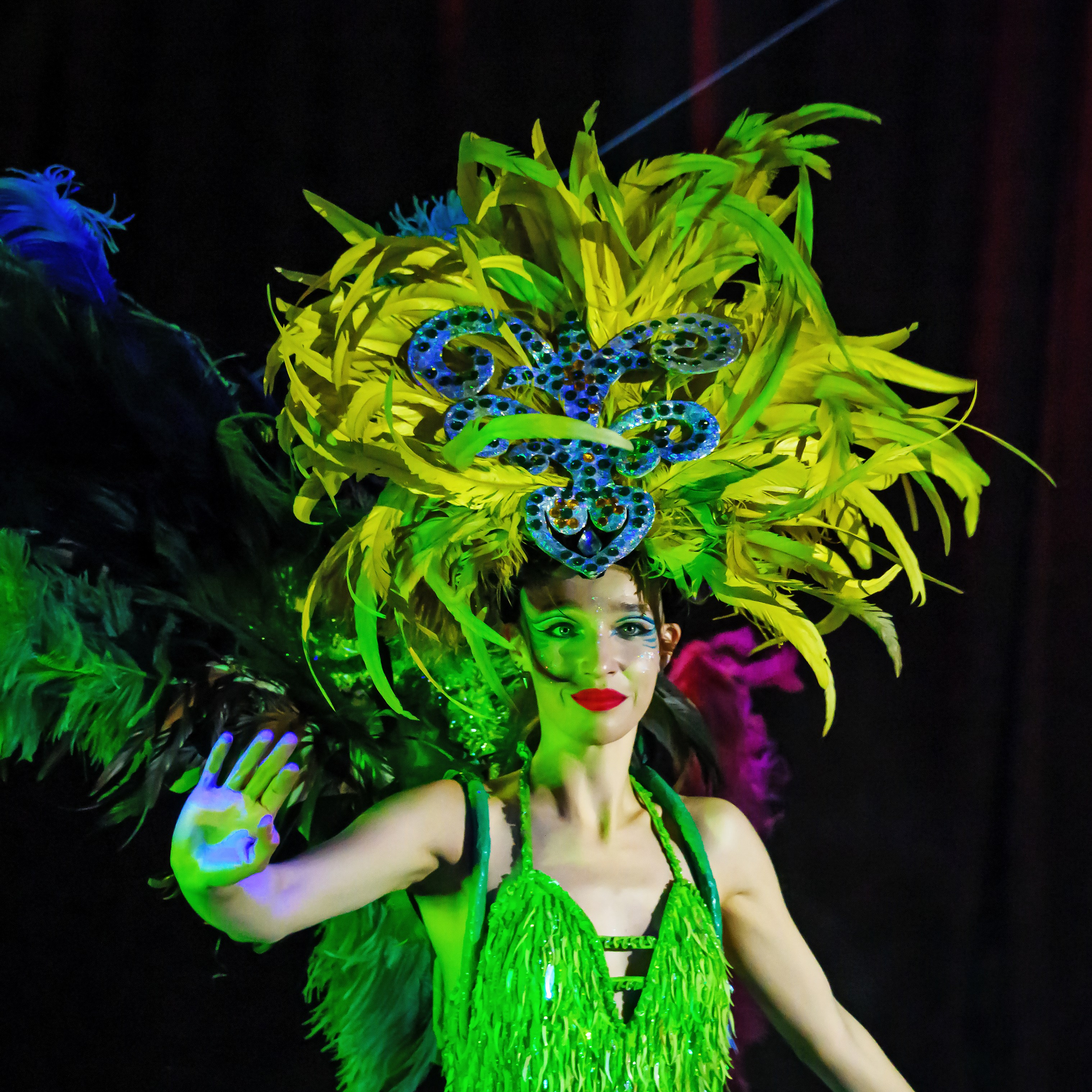 Шоу Демидовых. Цирковой фотограф Андрей Пухов (Jazz)