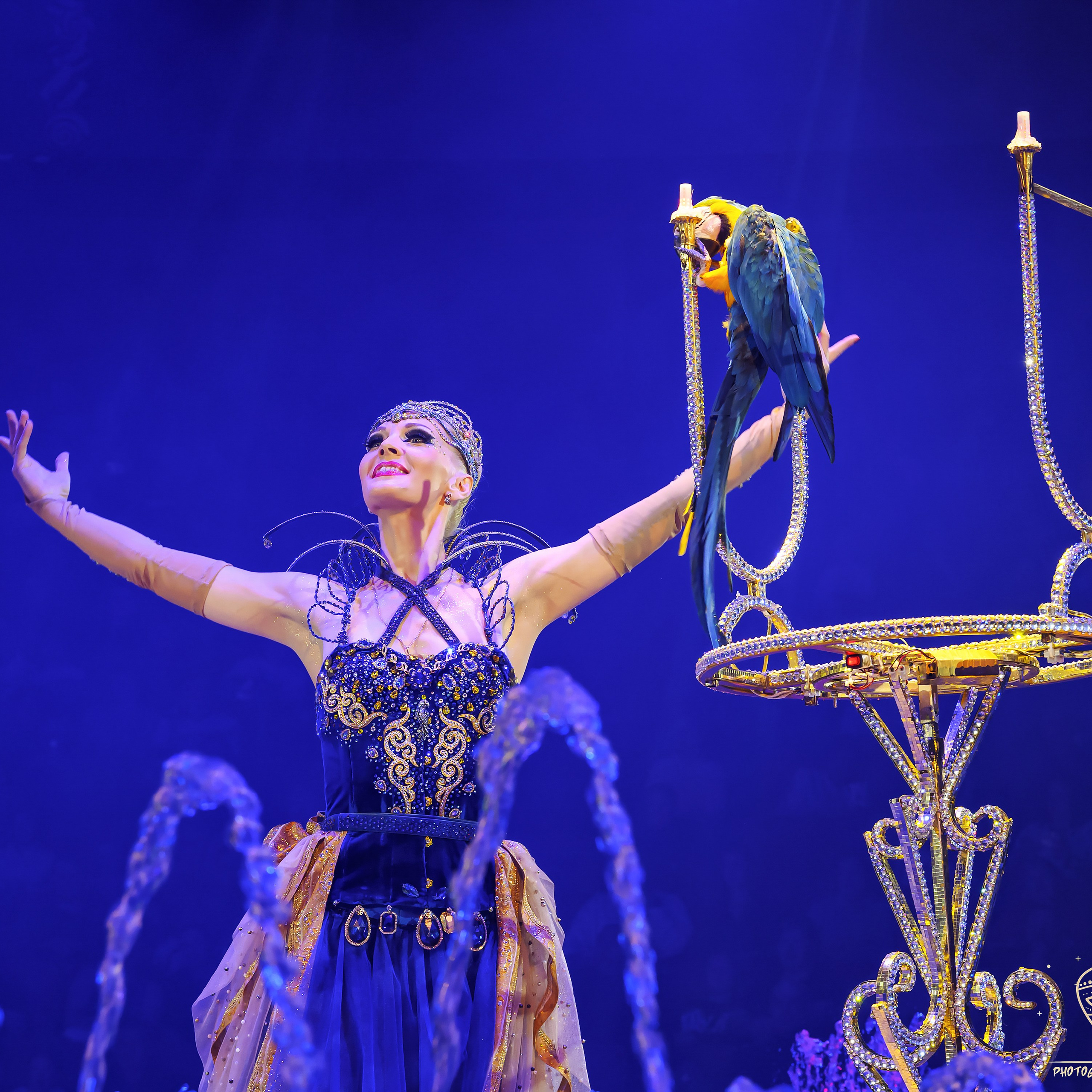 Шоу фонтанов «Принц цирка» 🎪 09.11.2024. Фотограф Андрей Пухов (Jazz)