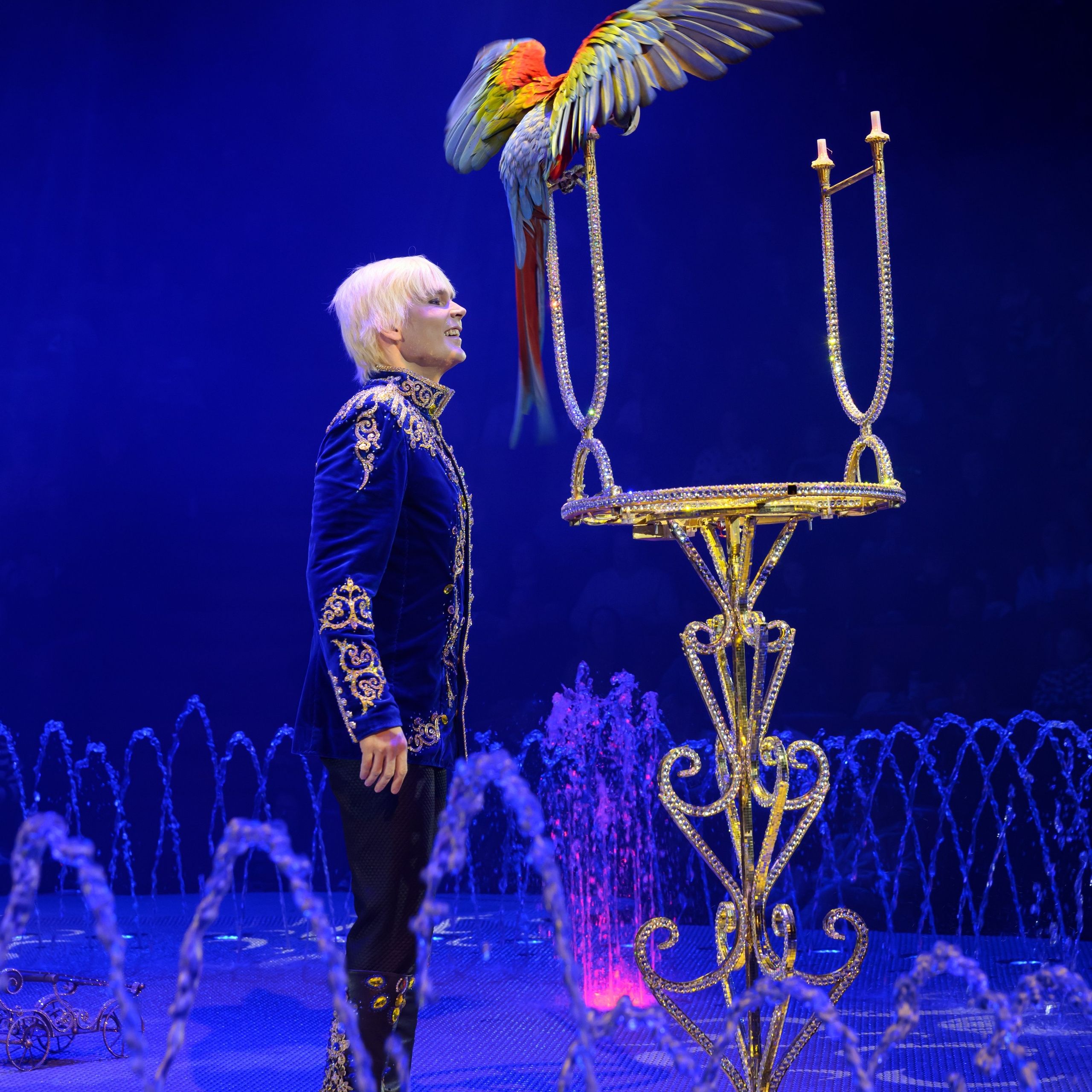 Шоу фонтанов «Принц цирка» 🎪 09.11.2024. Фотограф Андрей Пухов (Jazz)