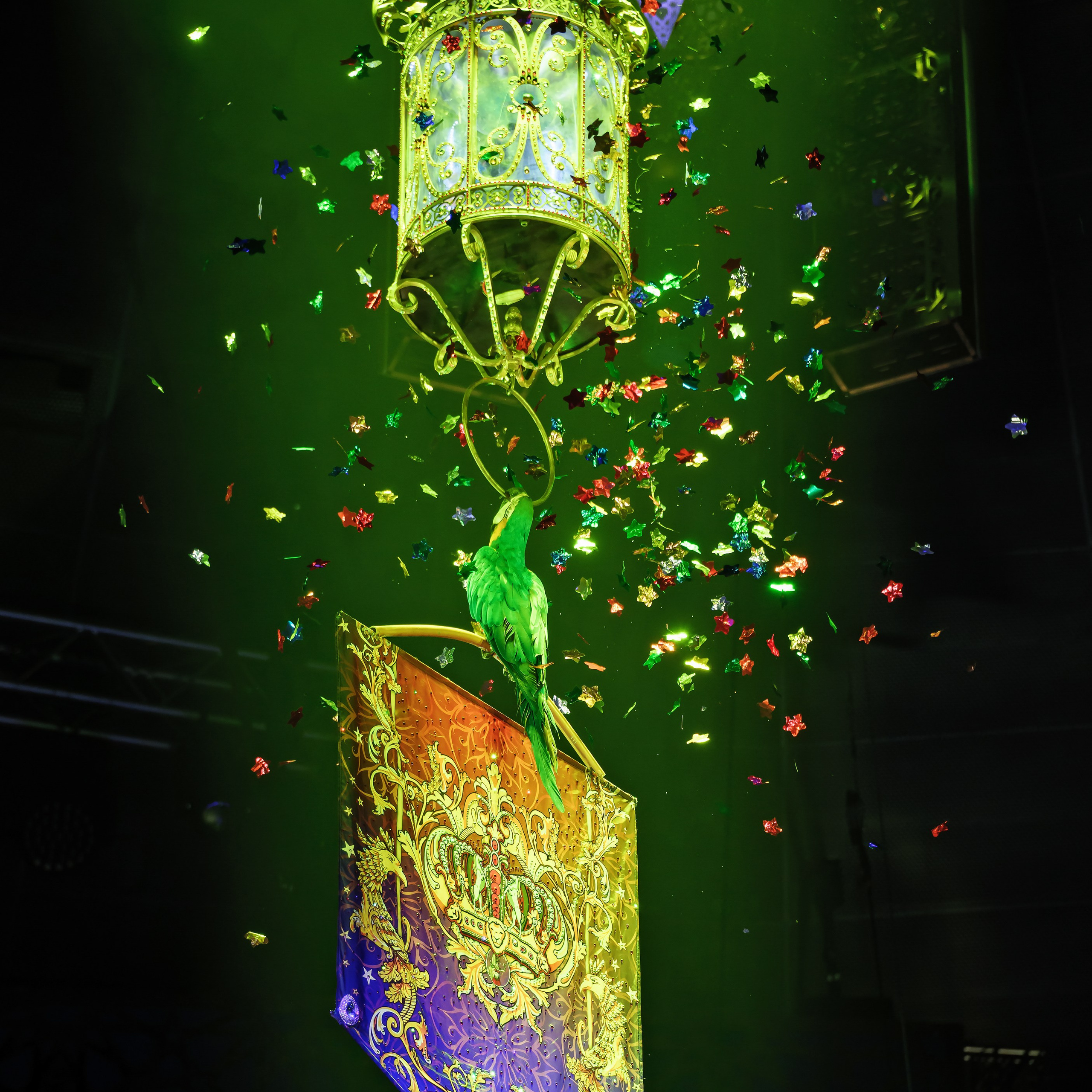 Песчаная сказка Гии Эрадзе — волшебное шоу 🎪, которое должен увидеть каждый, кто ценит красоту🌹, талант 🎭 и умение мечтать 💫. Цирковой фотограф Андрей Пухов (Jazz)