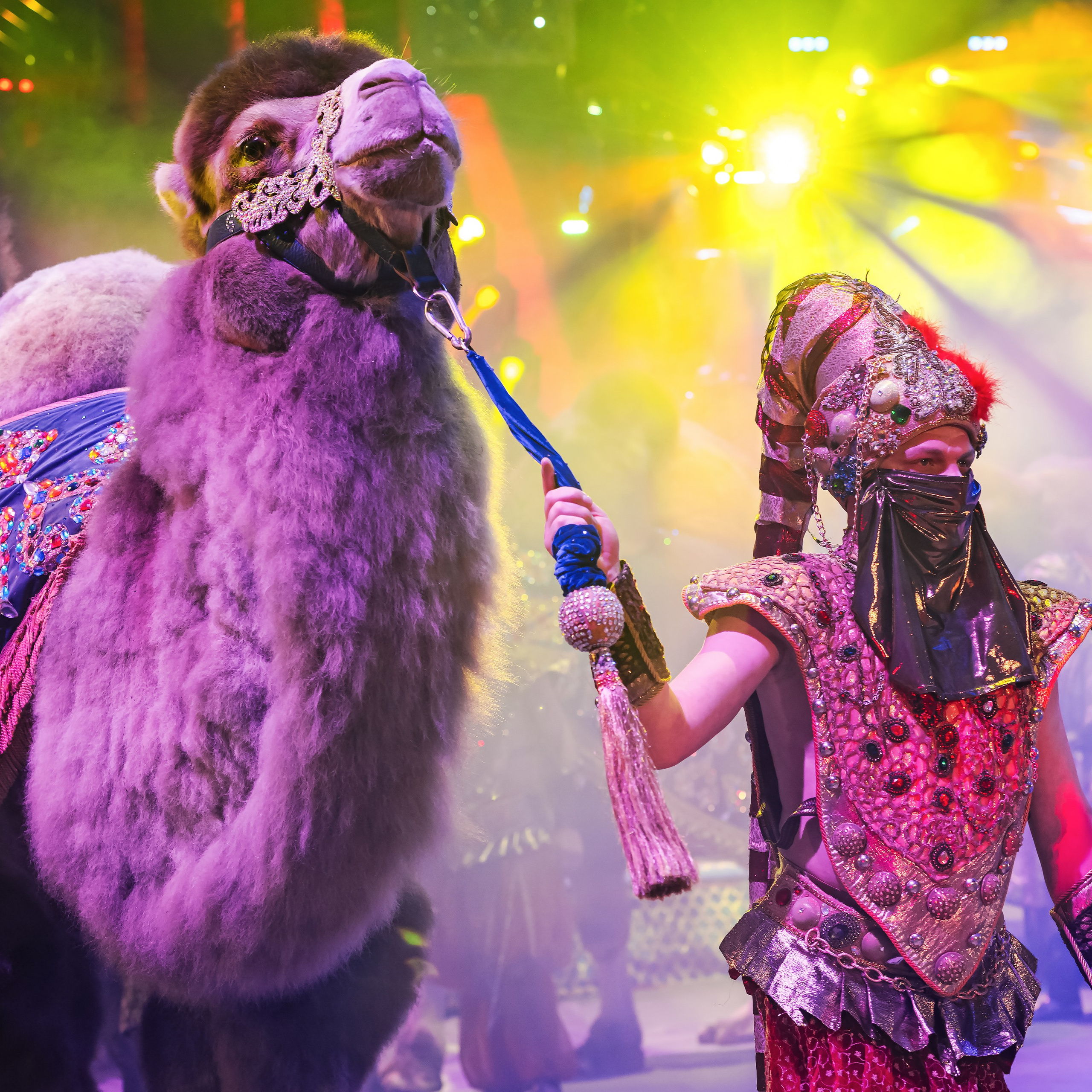 Песчаная сказка — Нижегородский Государственный Цирк (Премьера). Цирковой фотограф Андрей Пухов (Jazz)