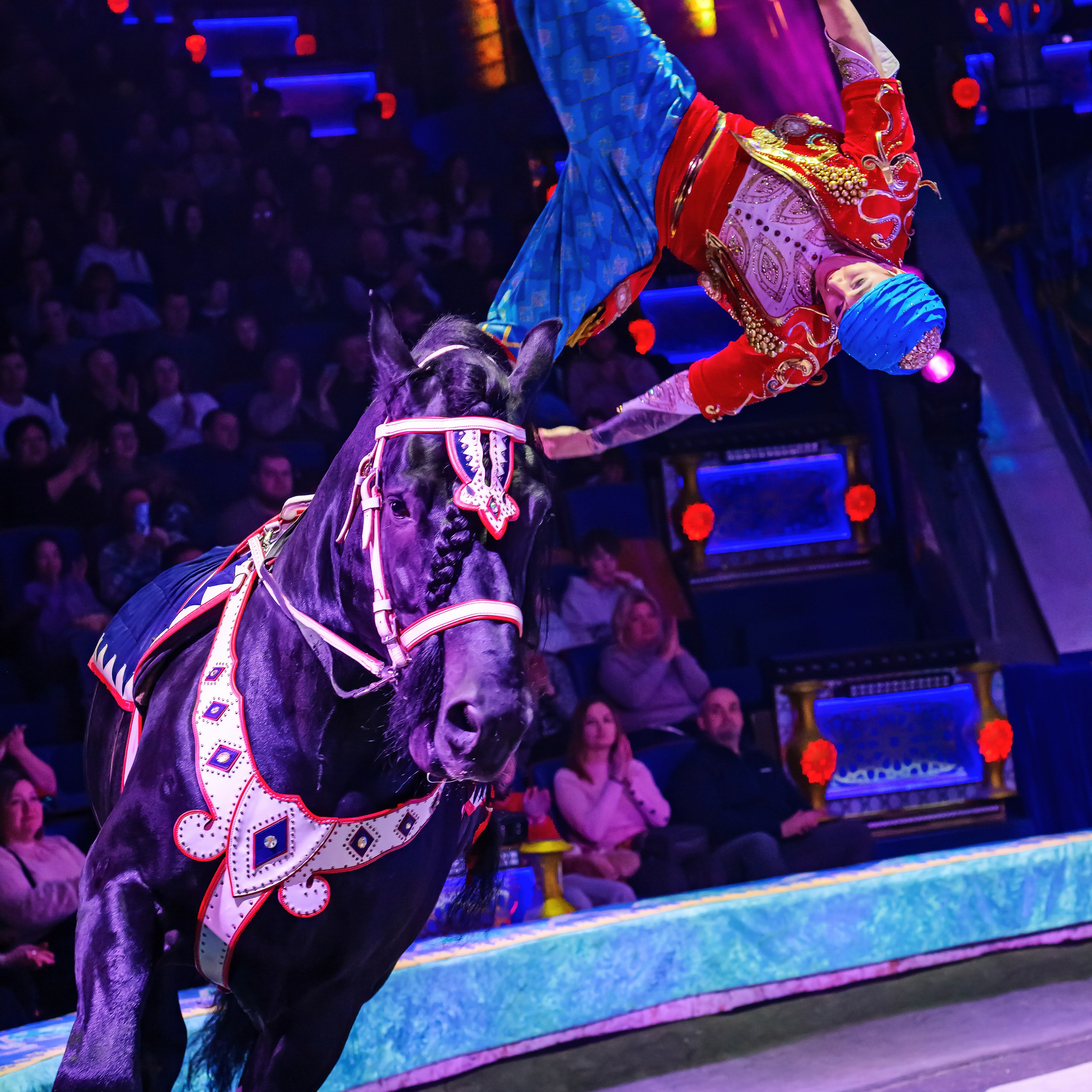 Песчаная сказка — Нижегородский Государственный Цирк (Премьера). Цирковой фотограф Андрей Пухов (Jazz)