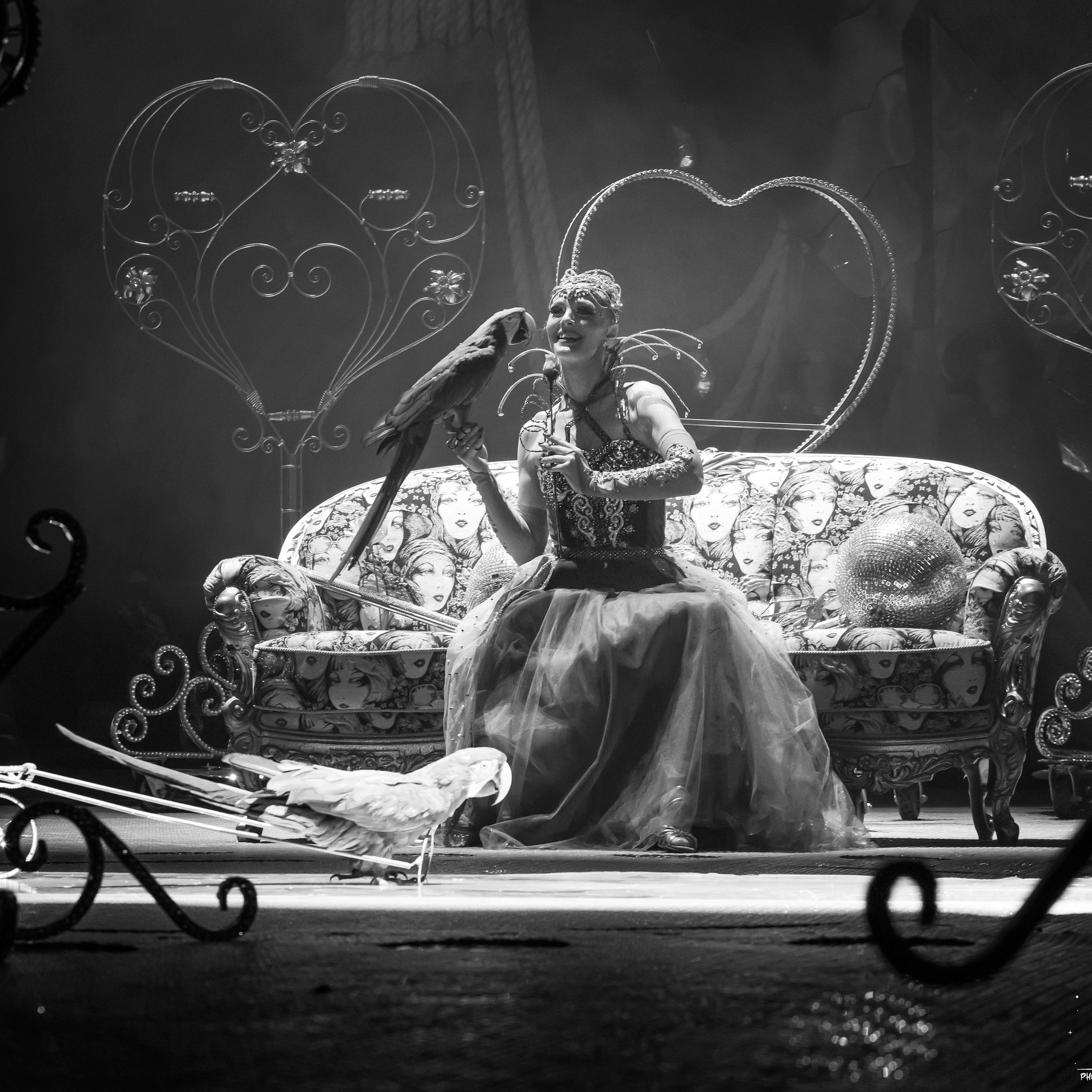 Шоу фонтанов «Принц цирка» 🎪 09.11.2024. Фотограф Андрей Пухов (Jazz)