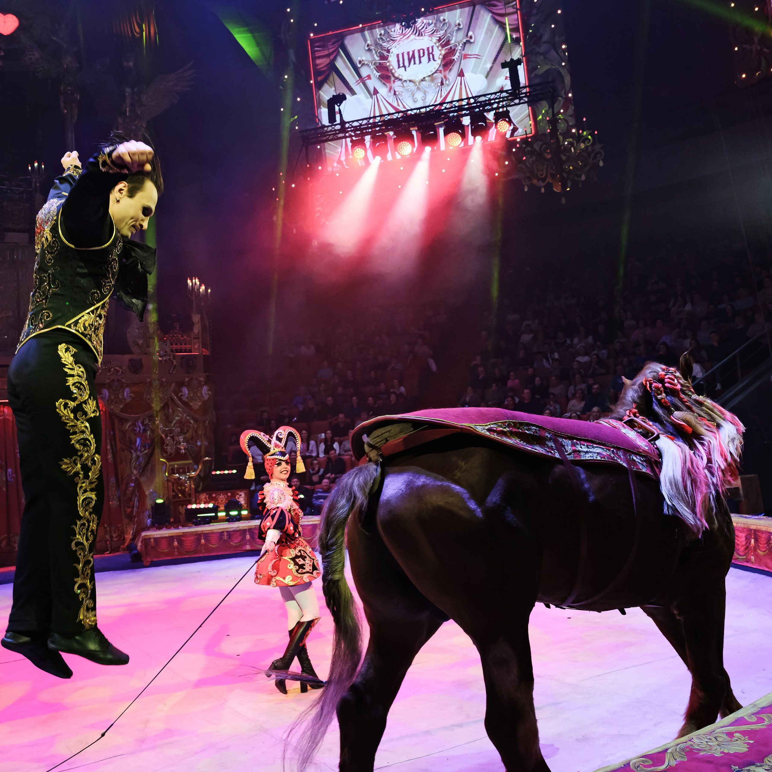 Royal Circus (новые номера). Фотограф Андрей Пухов (Jazz)