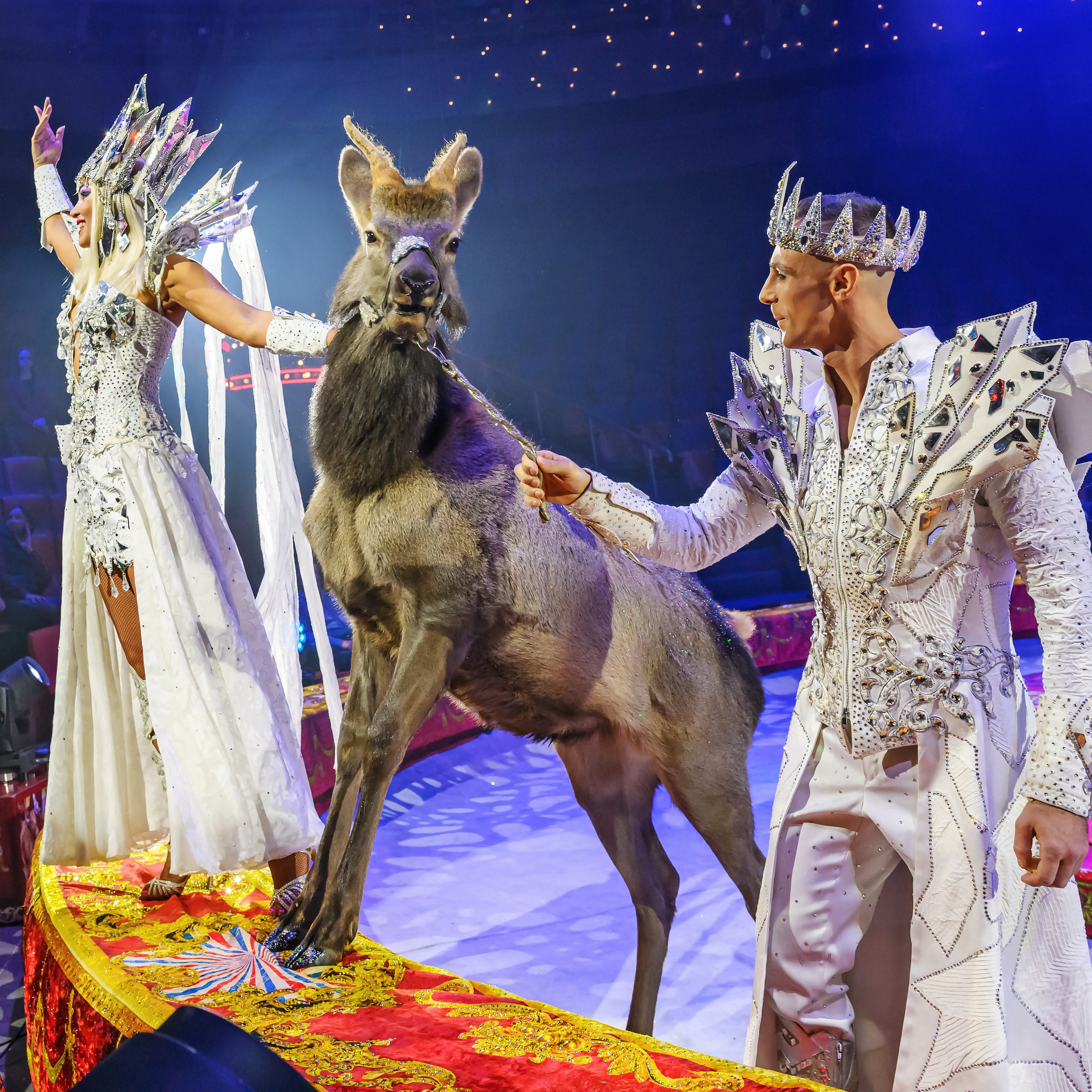 Пресс показ «Королевский цирк». Фотограф Андрей Пухов (Jazz)