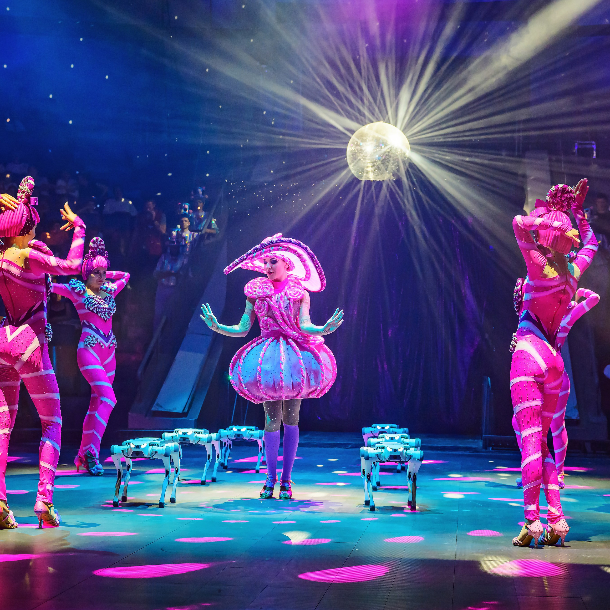 🍭Вкусное шоу «WOW»🍫. Фотограф Андрей Пухов (Jazz)