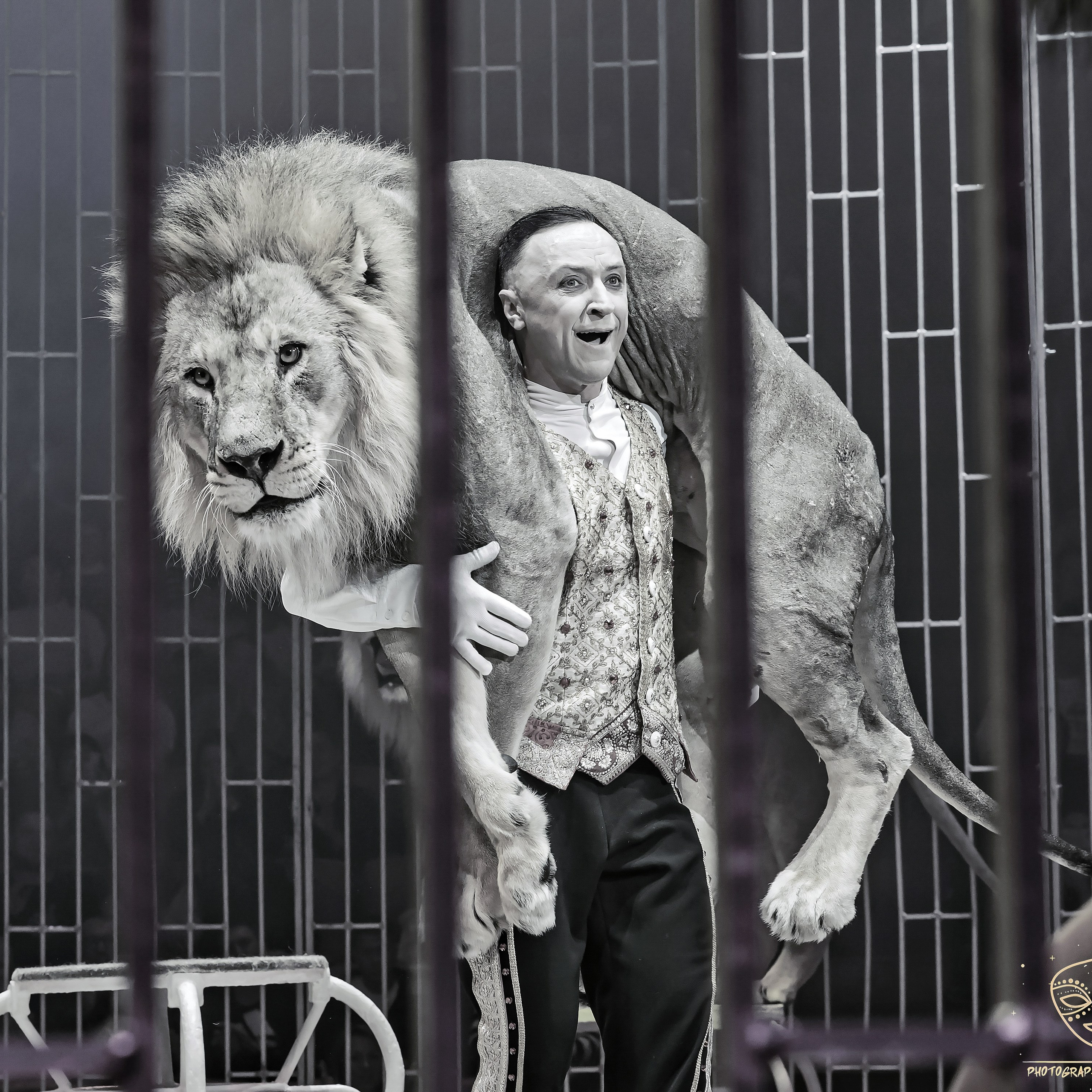 Шоу фонтанов «Принц цирка» 🎪 09.11.2024. Фотограф Андрей Пухов (Jazz)