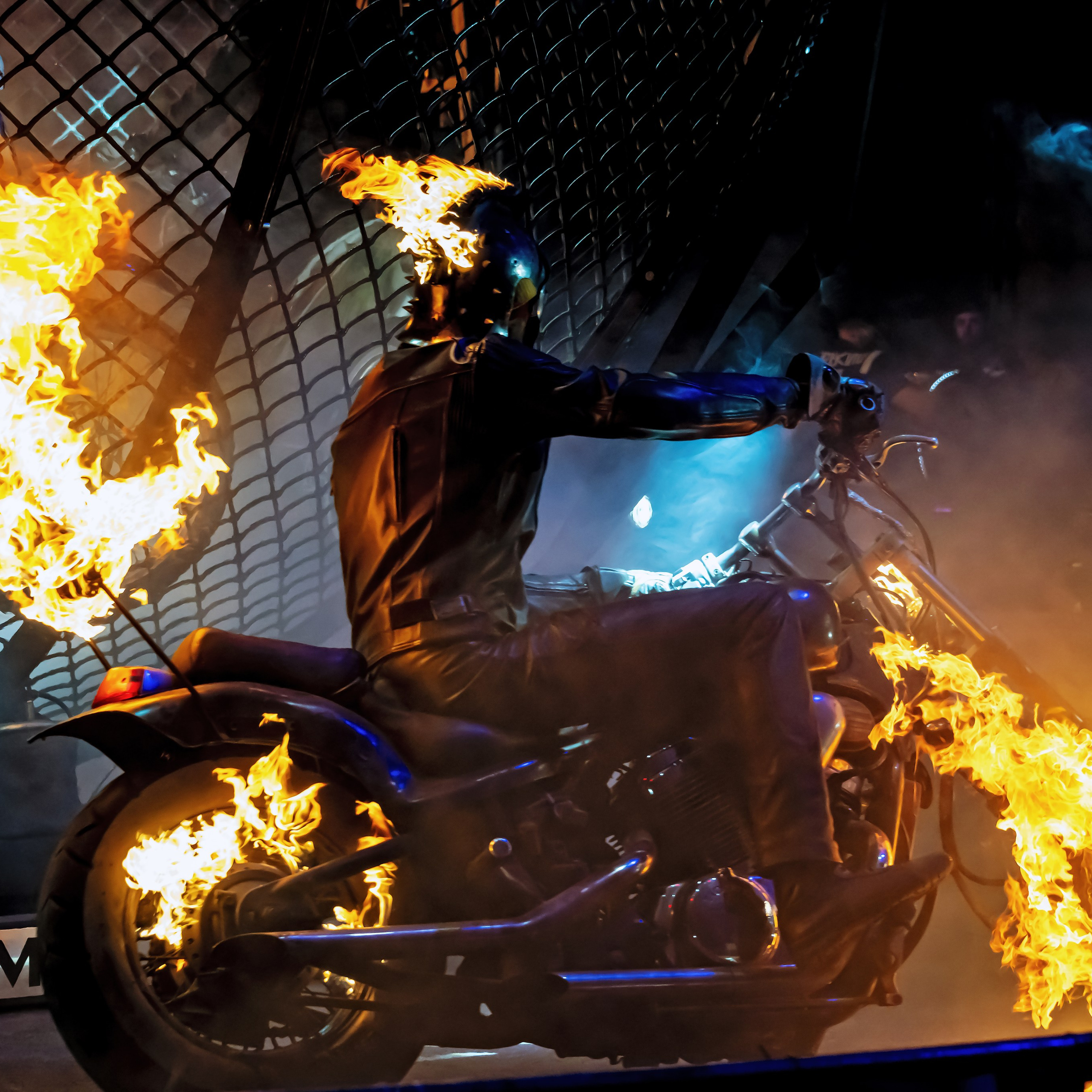 Шоу Демидовых. Цирковой фотограф Андрей Пухов (Jazz)