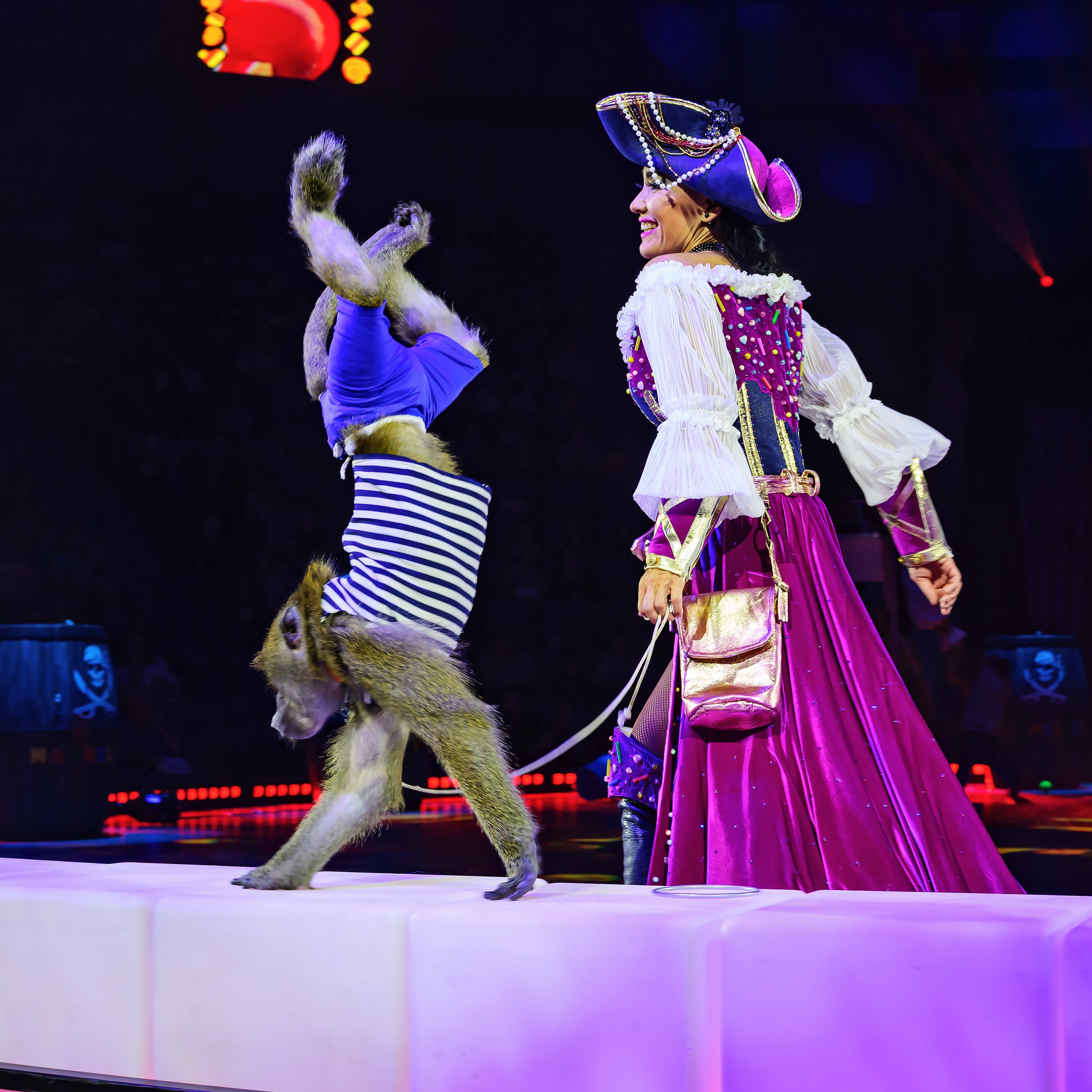 🍭Вкусное шоу «WOW»🍫. Фотограф Андрей Пухов (Jazz)