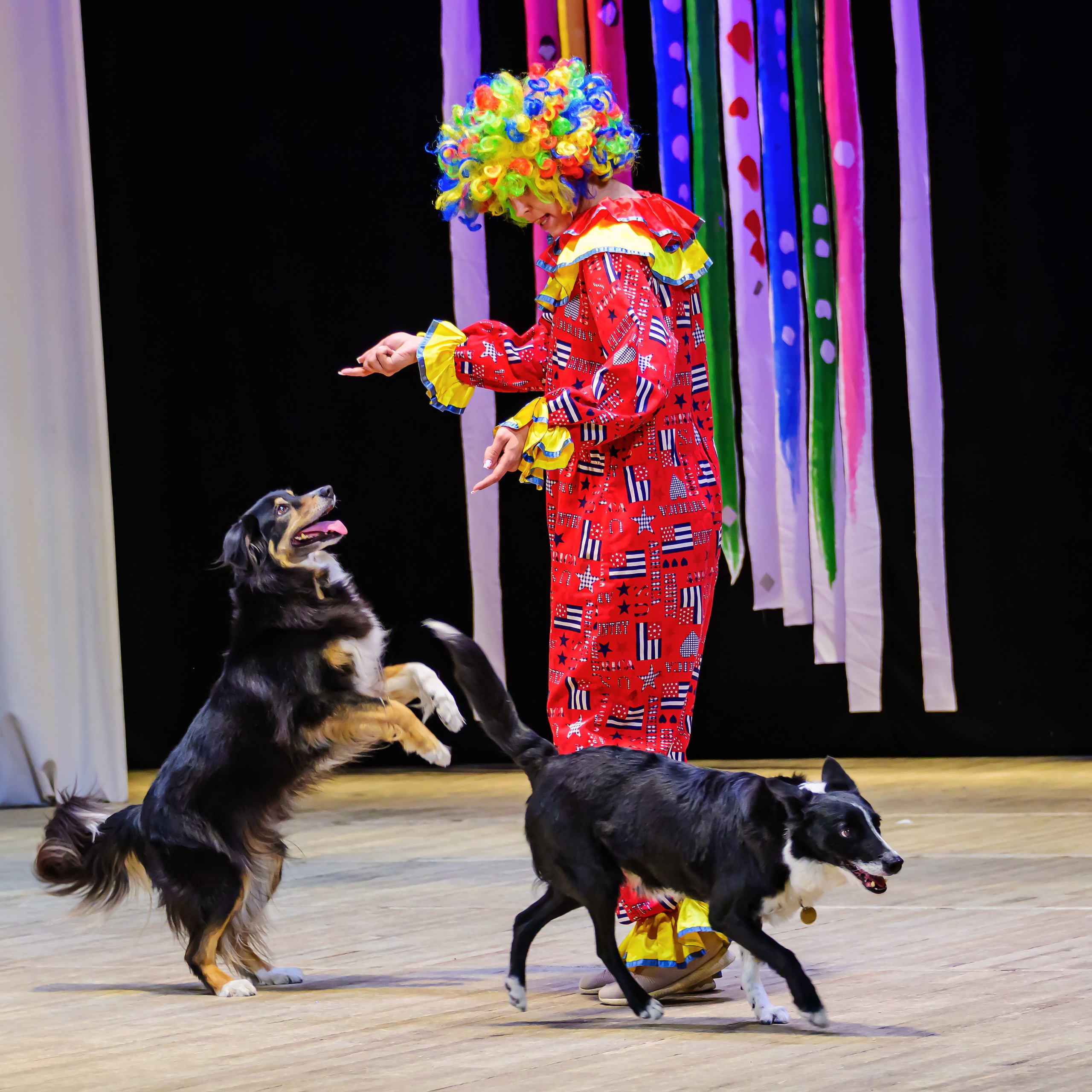 Народный коллектив, цирк «Юность» ДК ГАЗ, г. Нижний Новгород 👏. Фотограф Андрей Пухов (Jazz)