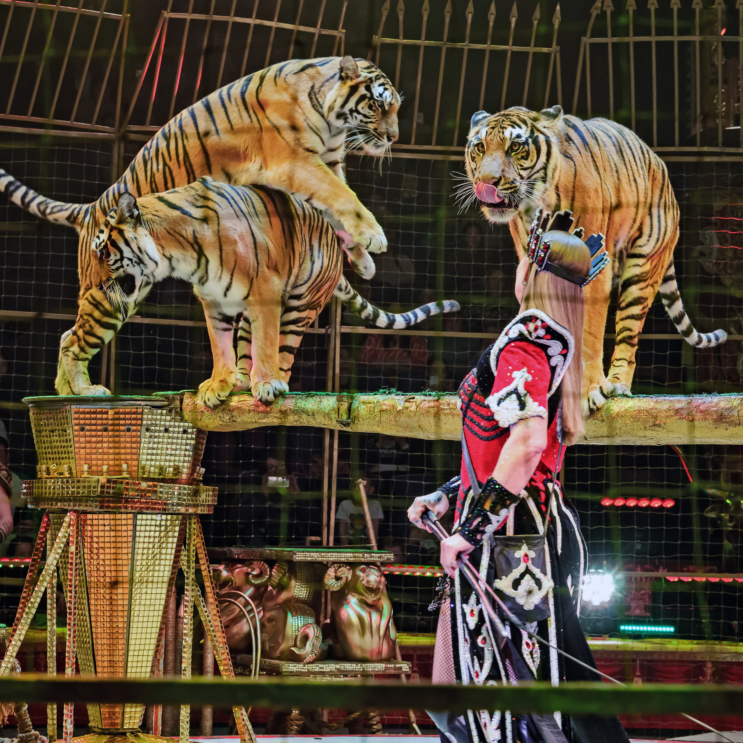 Royal Circus (новые номера). Фотограф Андрей Пухов (Jazz)