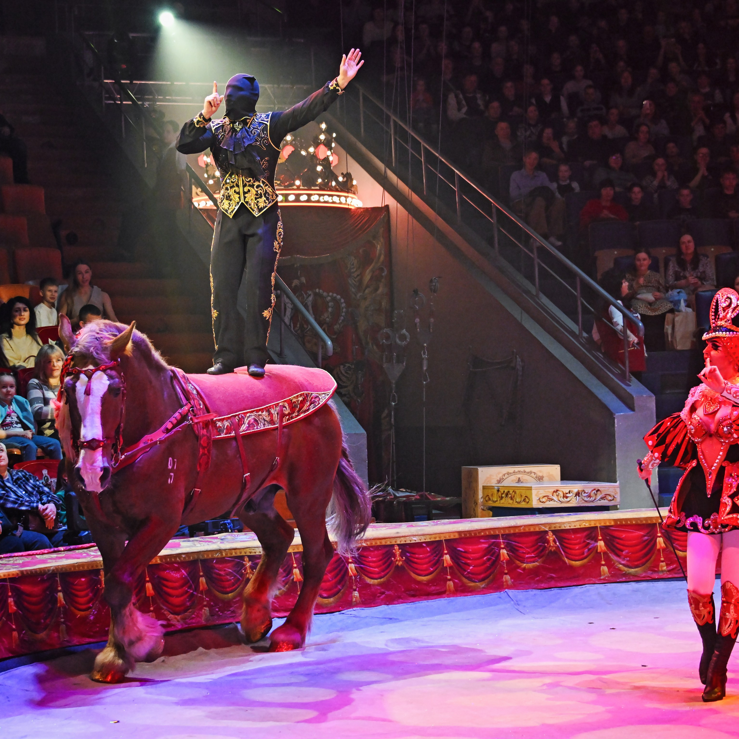 Вечное искусство удивлять: Королевский цирк Гии Эрадзе 👑 Роскошь здесь в каждой детали 💫✨⭐. Фотограф Андрей Пухов (Jazz)