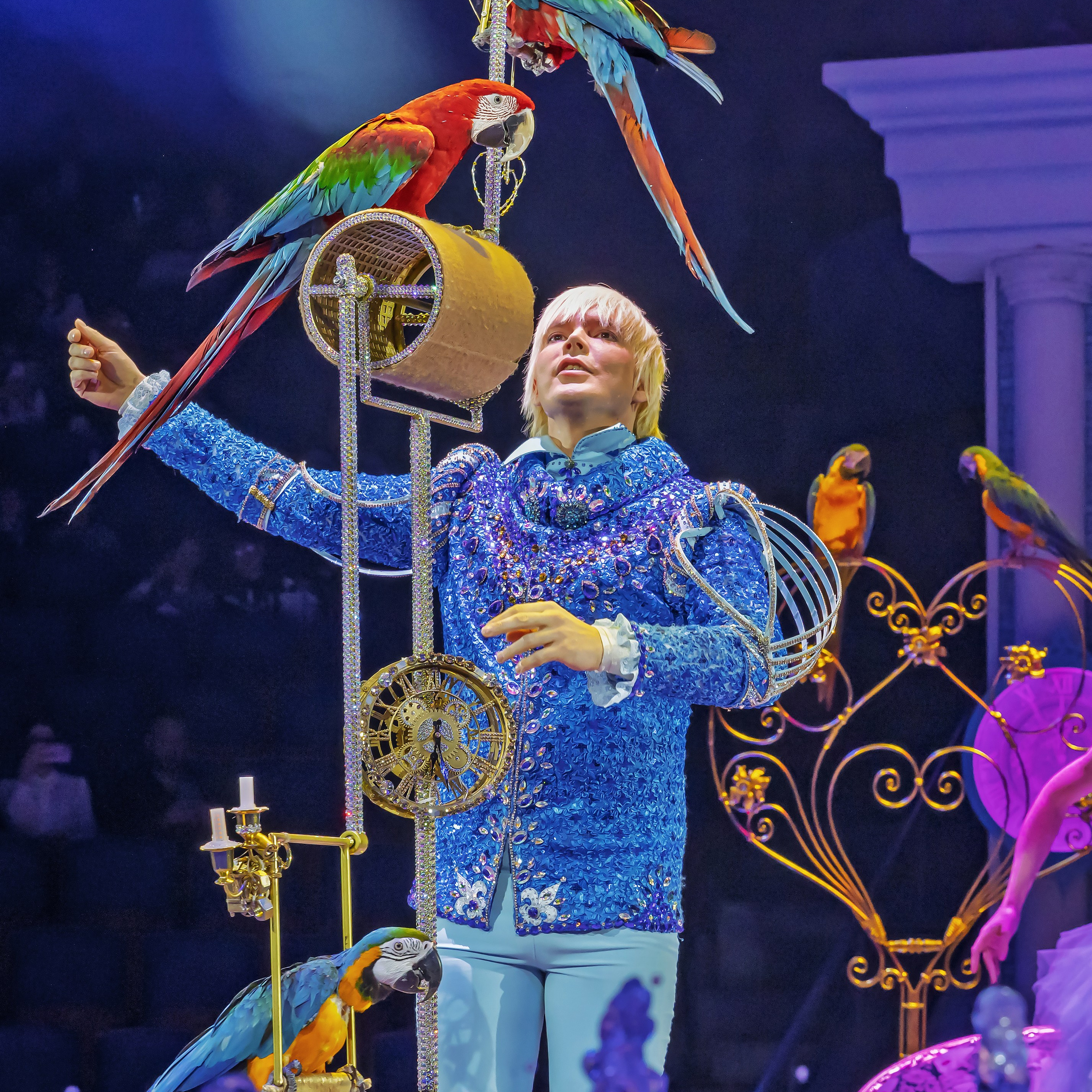 «13 месяцев. Шоу ледяных фонтанов»❄💙. Фотограф Андрей Пухов (Jazz)