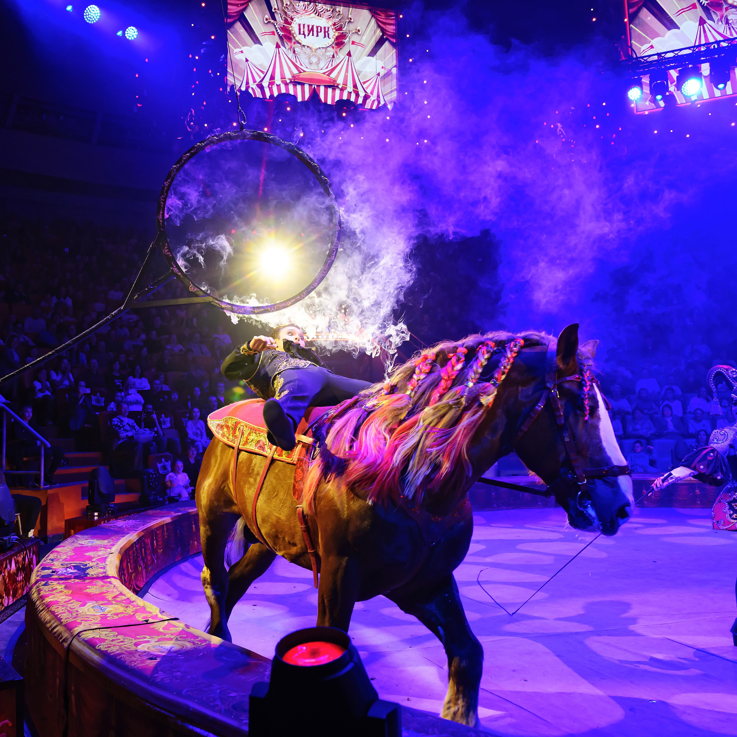 Royal Circus (новые номера). Фотограф Андрей Пухов (Jazz)