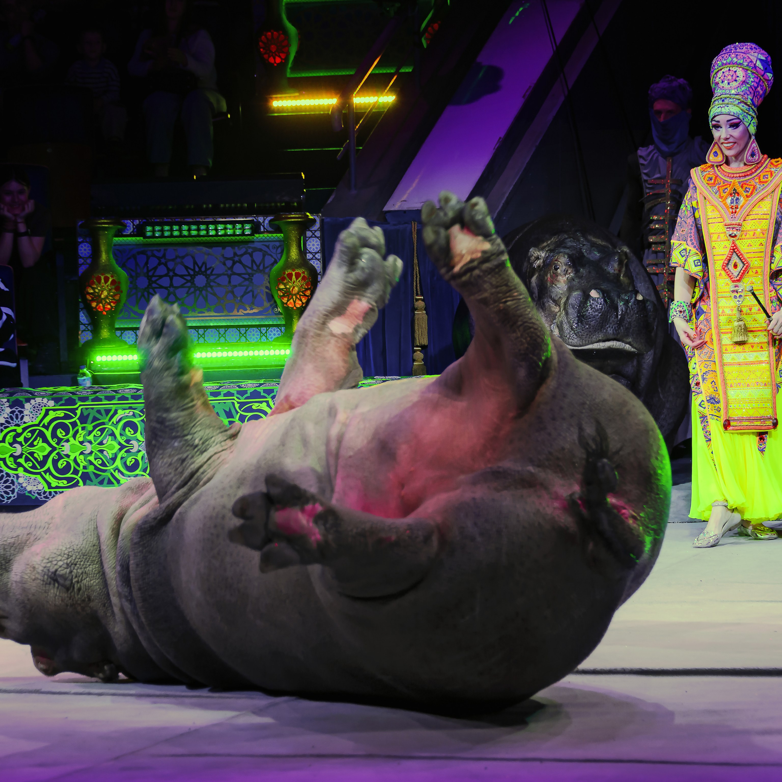 Песчаная сказка Гии Эрадзе — волшебное шоу 🎪, которое должен увидеть каждый, кто ценит красоту🌹, талант 🎭 и умение мечтать 💫. Цирковой фотограф Андрей Пухов (Jazz)