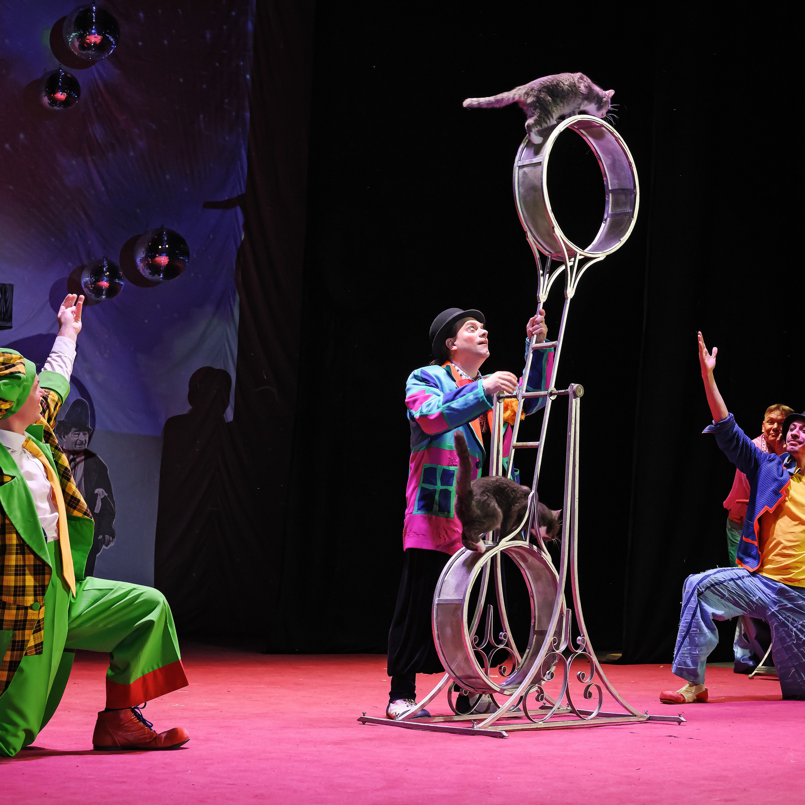 Великий клоун, Народный артист России, Юрий Куклачёв со звёздами эстрады и цирка, уникальный бенефис!. Фотограф Андрей Пухов (Jazz)