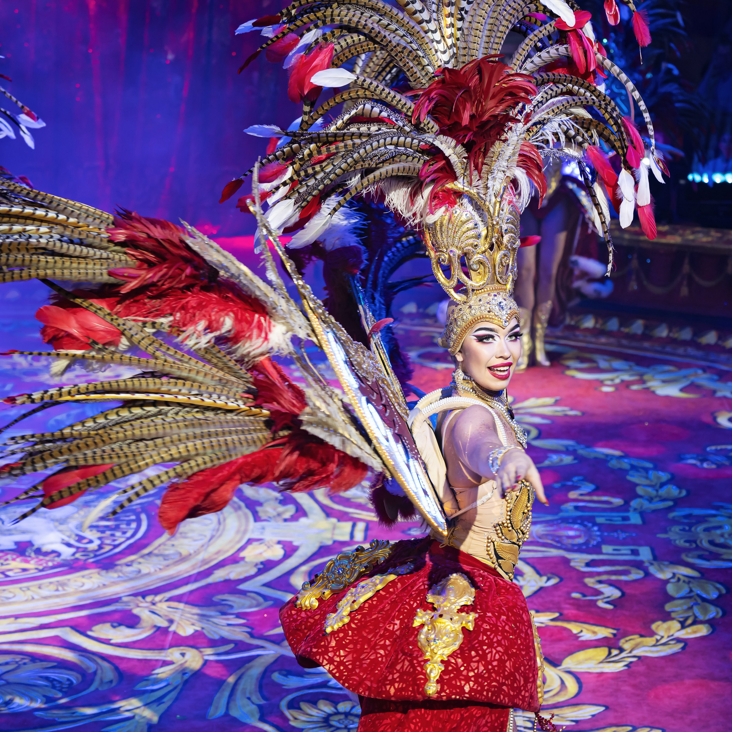 Королевский цирк ПРЕМЬЕРА НН. Фотограф Андрей Пухов (Jazz)