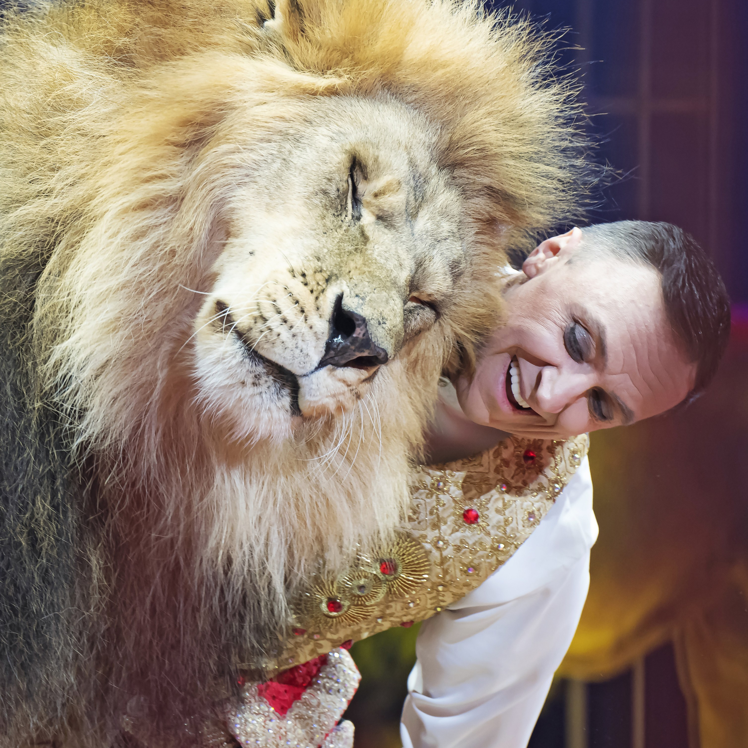 Принц Цирка (Продюсерский центр Влада Гончарова)🎪🦁. Фотограф Андрей Пухов (Jazz)