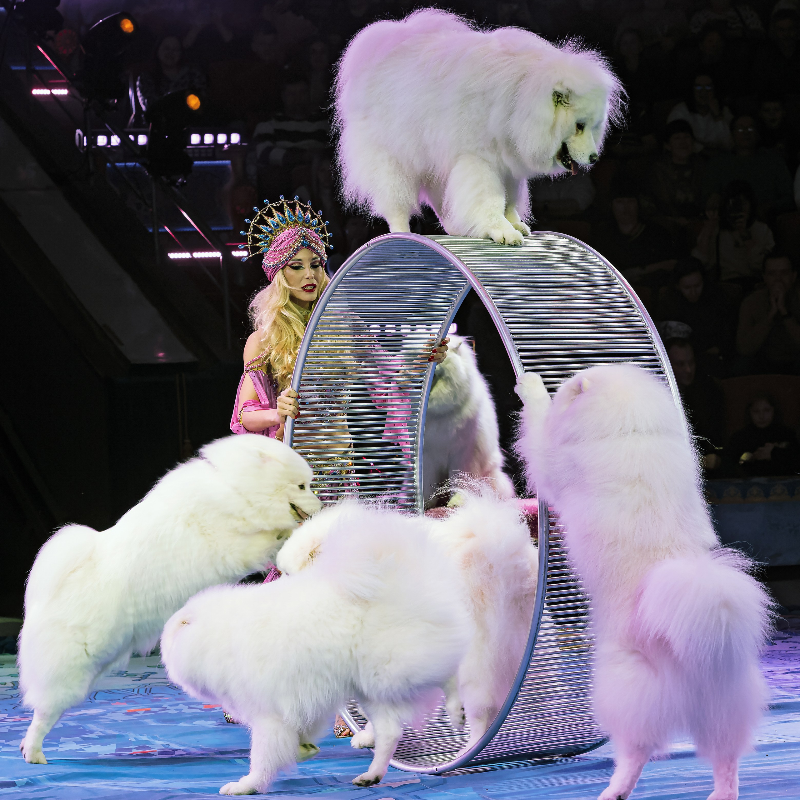 Песчаная сказка — Нижегородский Государственный Цирк (Премьера). Цирковой фотограф Андрей Пухов (Jazz)