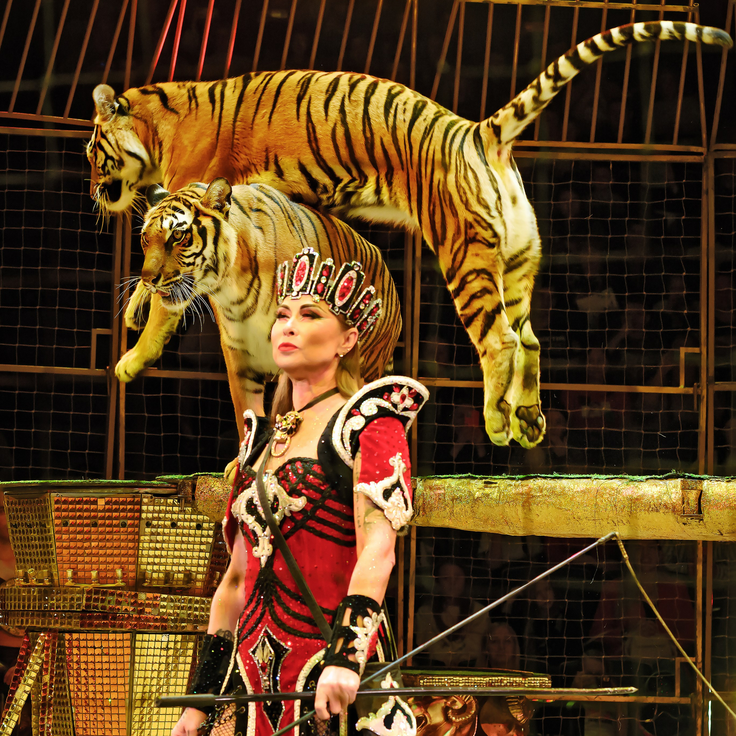 Шоу «Королевский цирк». Фотограф Андрей Пухов (Jazz)