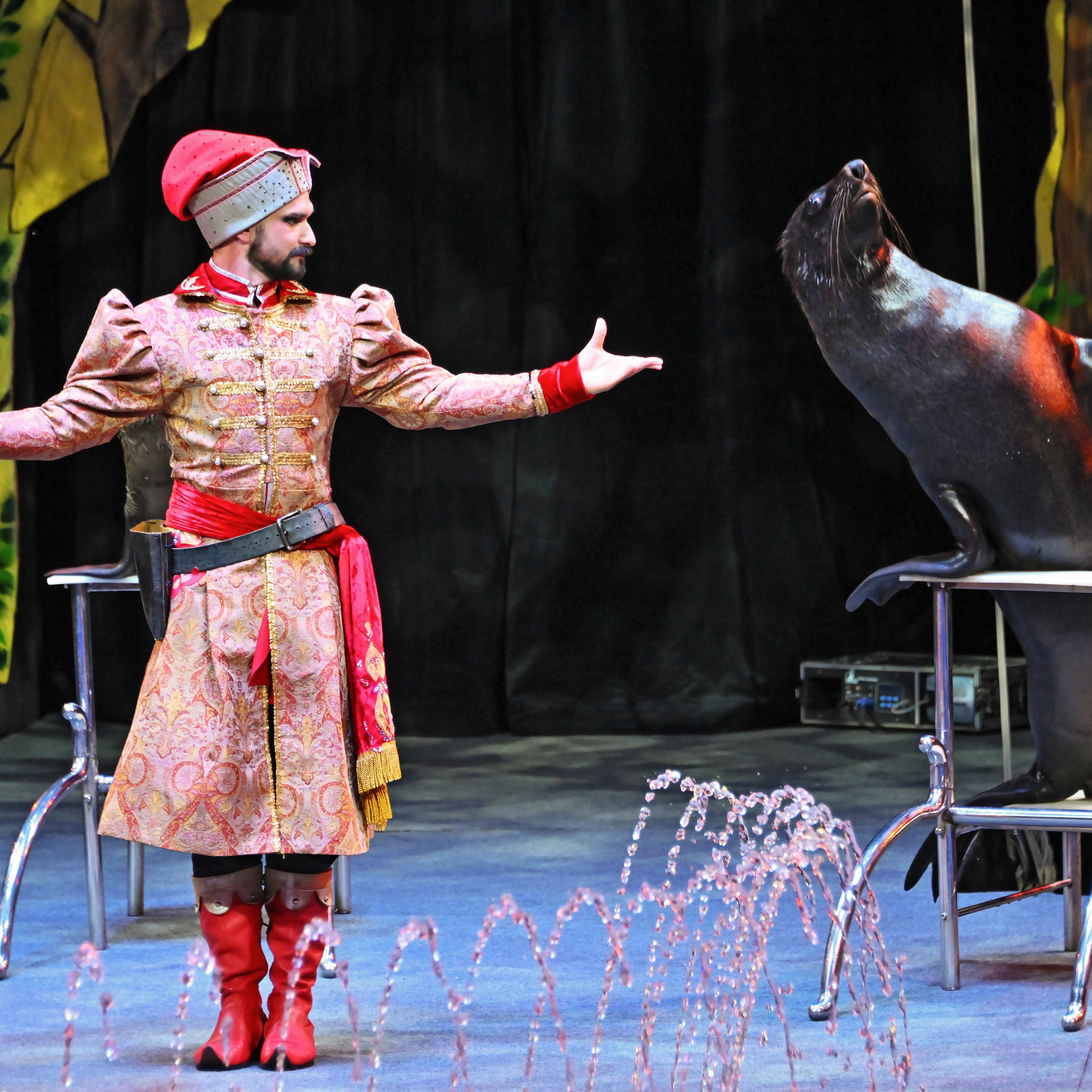 🎪 «Цирк на воде💦 🏰Царство фонтанов**»✨🌊🎭. Фотограф Андрей Пухов (Jazz)