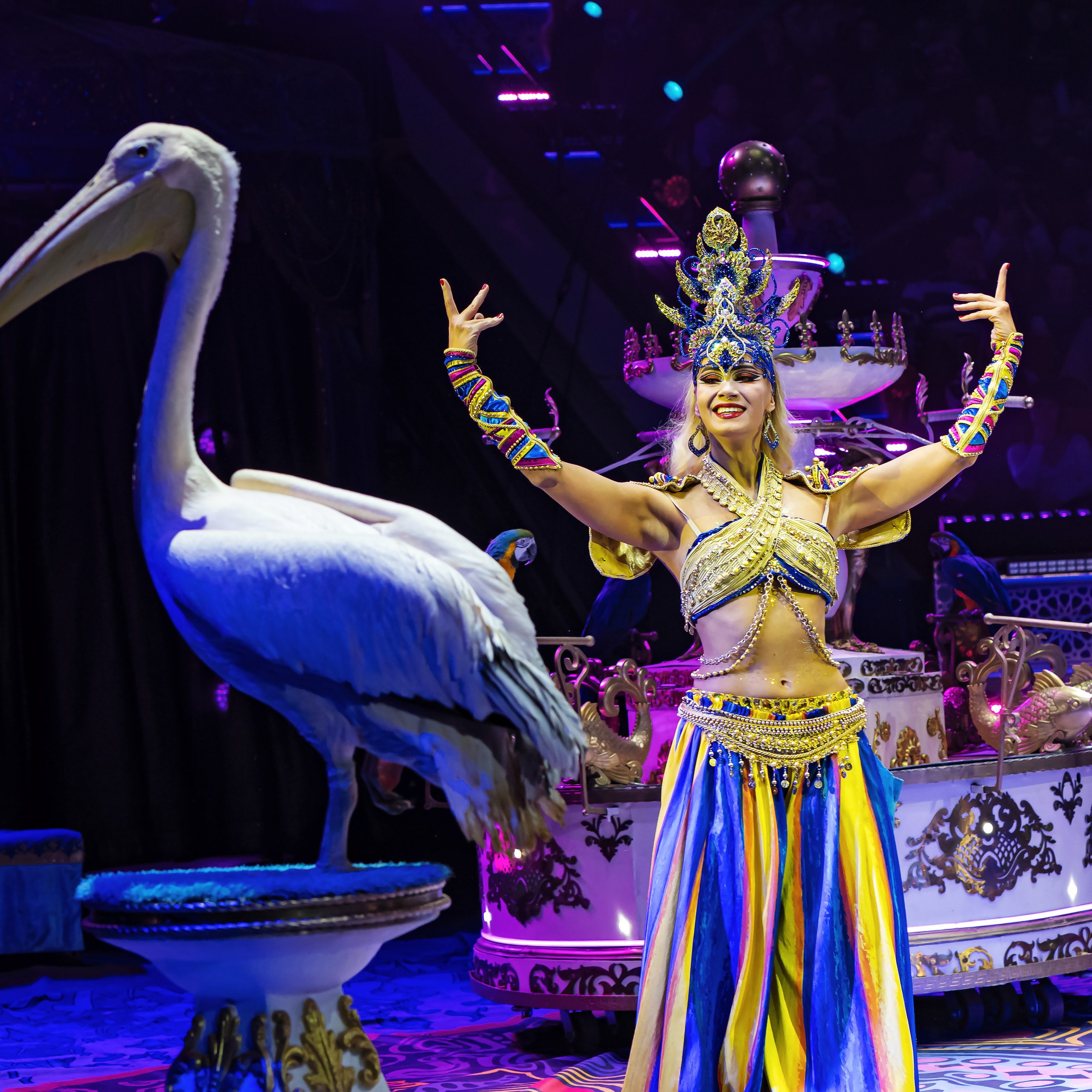 Песчаная сказка — Нижегородский Государственный Цирк (Премьера). Цирковой фотограф Андрей Пухов (Jazz)