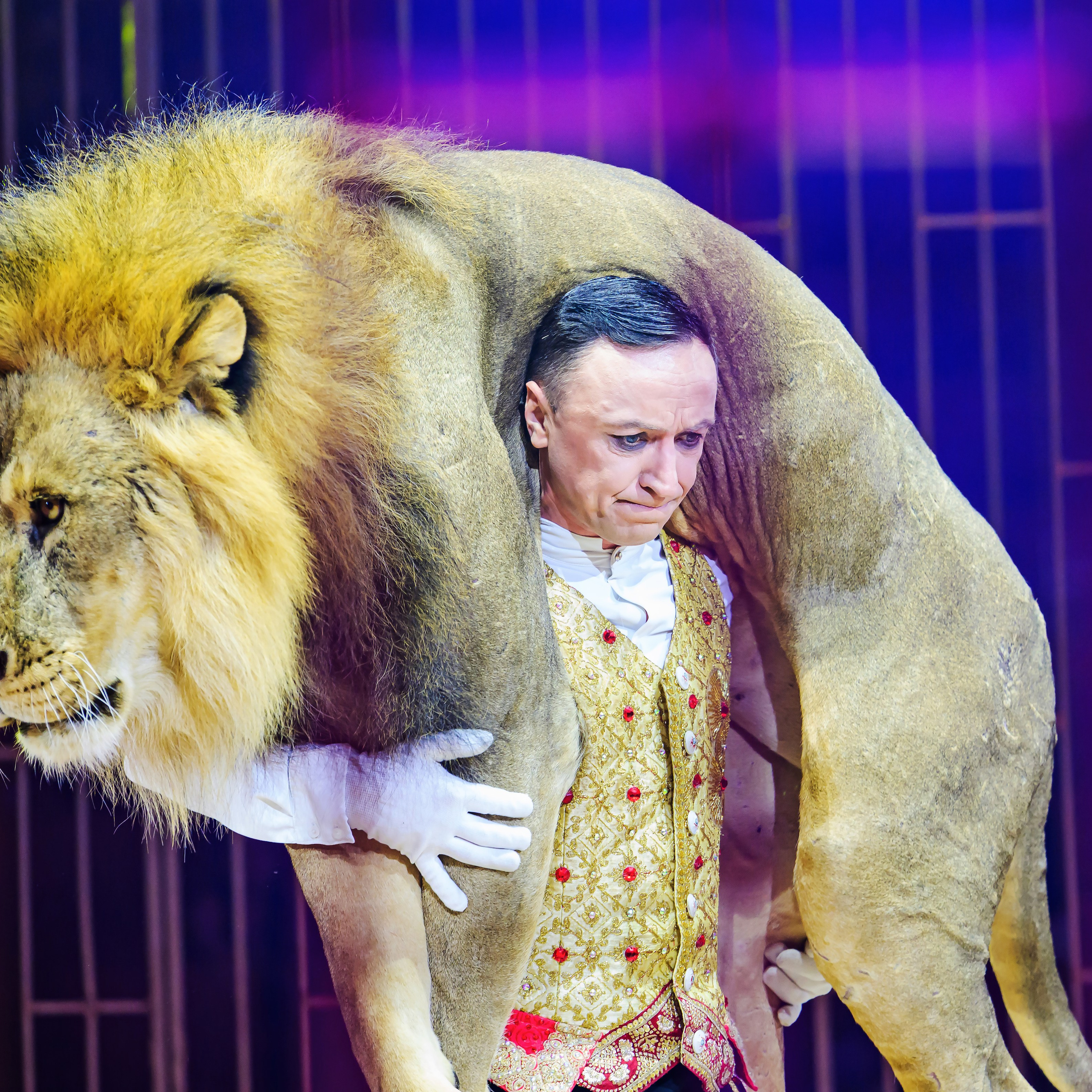 Принц Цирка (Продюсерский центр Влада Гончарова)🎪🦁. Фотограф Андрей Пухов (Jazz)