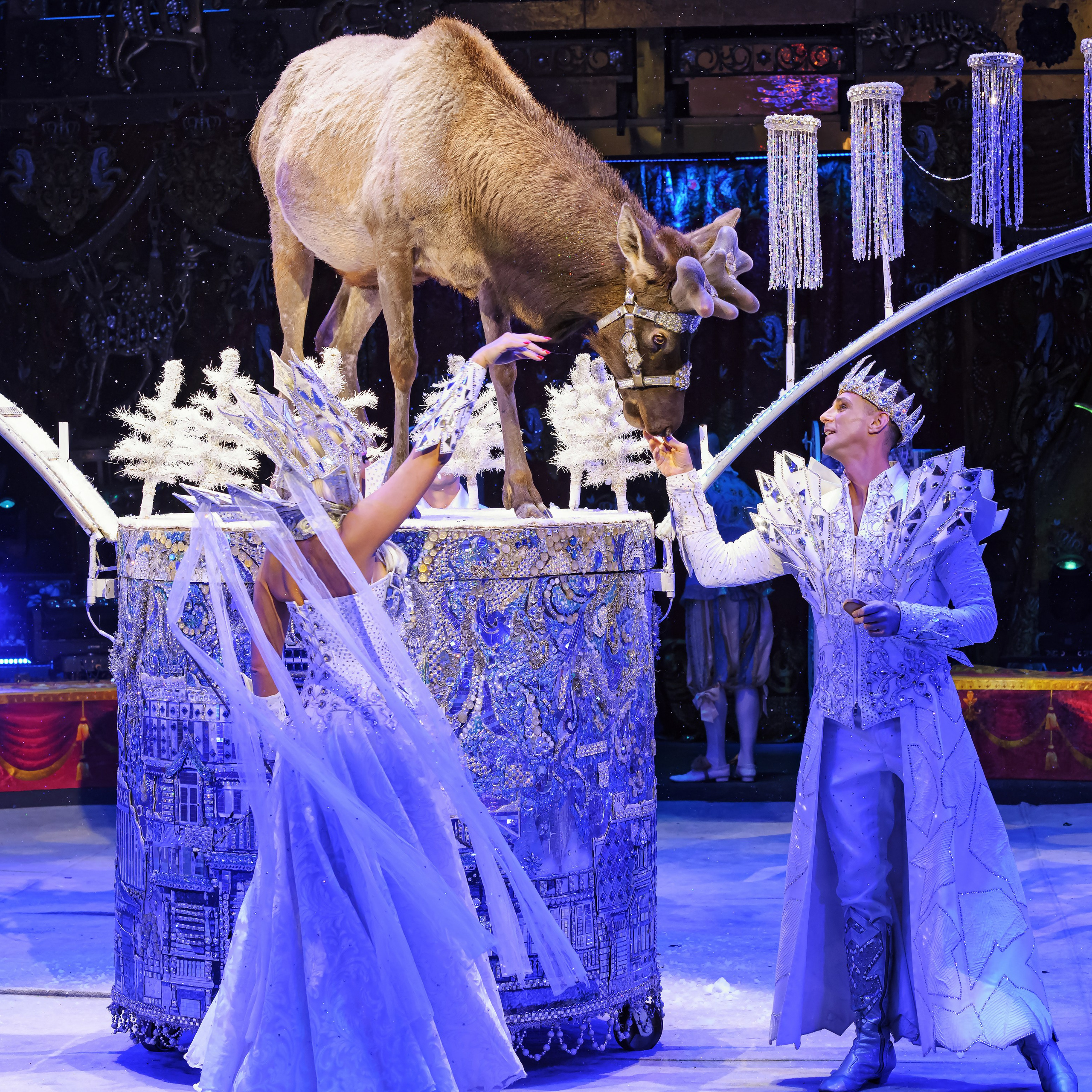 ГРАНДИОЗНОЕ ЦИРКОВОЕ ШОУ ЗАСЛУЖЕННОГО АРТИСТА РОССИИ ГИИ ЭРАДЗЕ. Фотограф Андрей Пухов (Jazz)