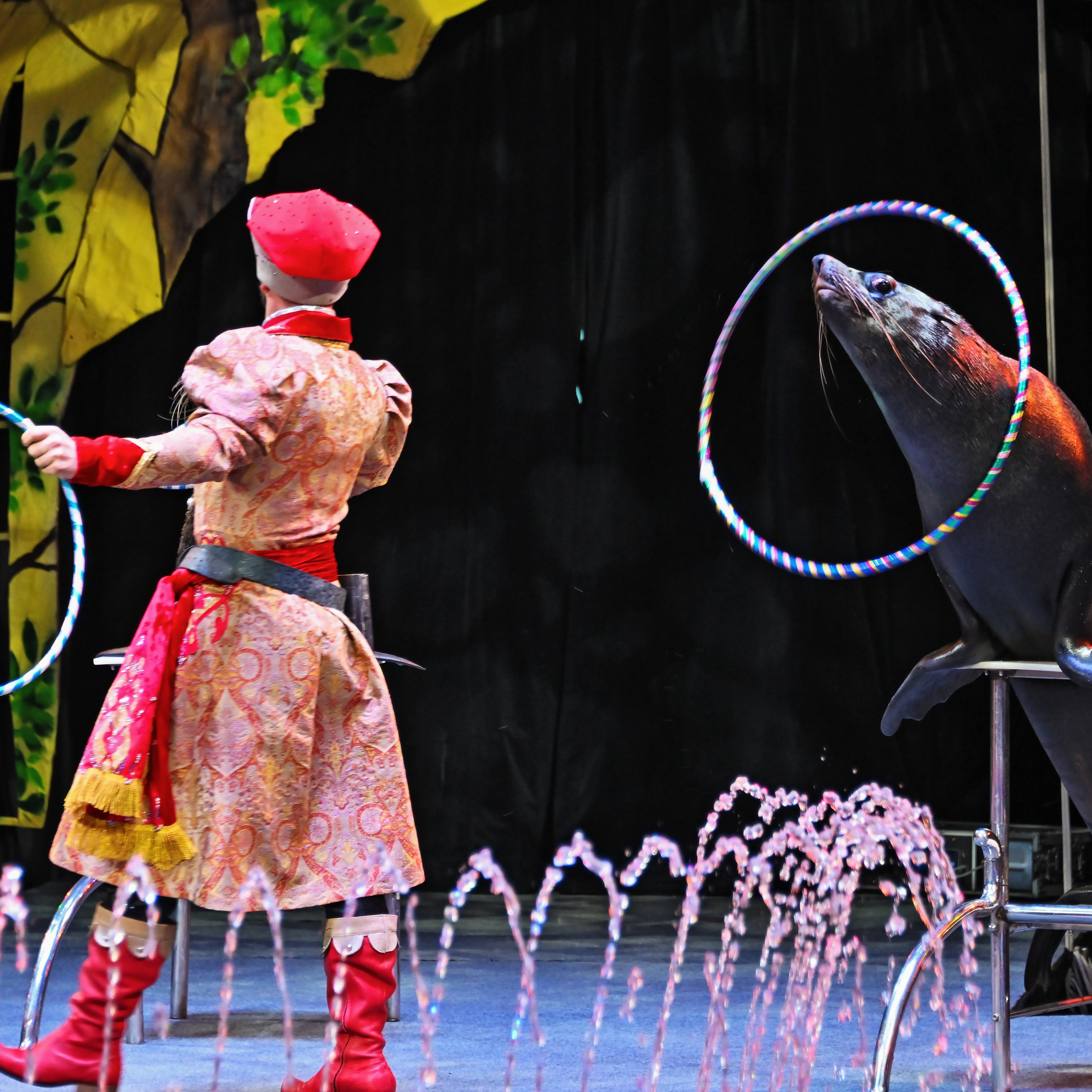 🎪 «Цирк на воде💦 🏰Царство фонтанов**»✨🌊🎭. Фотограф Андрей Пухов (Jazz)