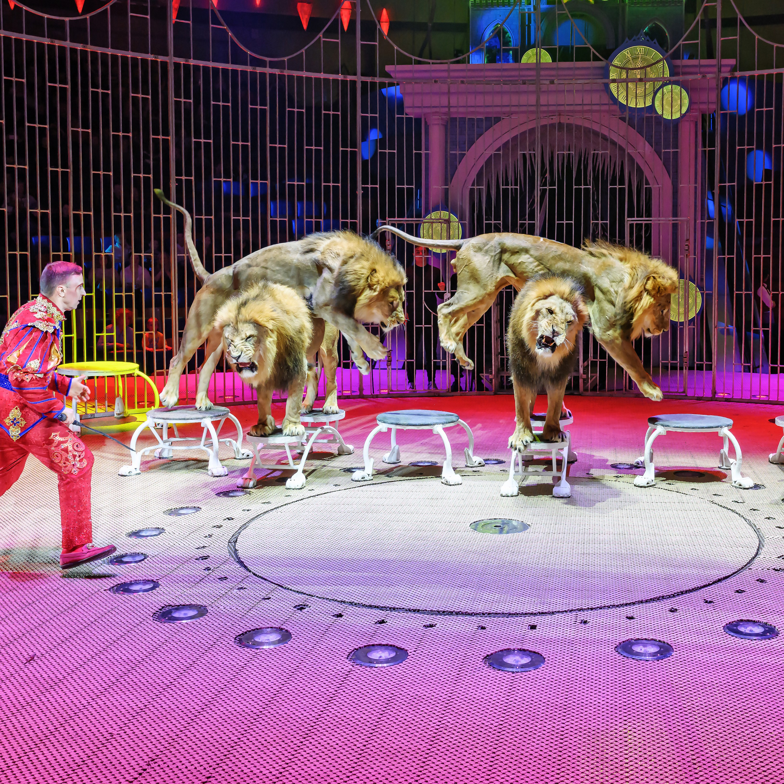 «13 месяцев. Шоу ледяных фонтанов»❄💙. Фотограф Андрей Пухов (Jazz)