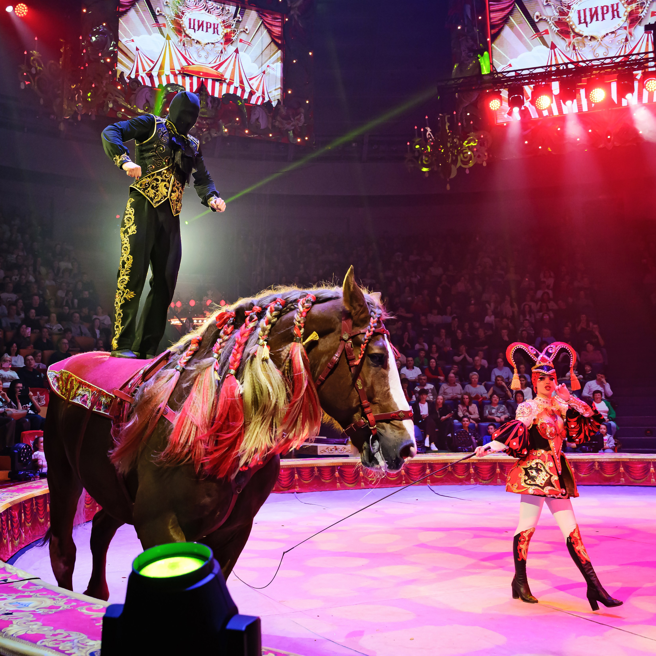 Royal Circus (новые номера). Фотограф Андрей Пухов (Jazz)