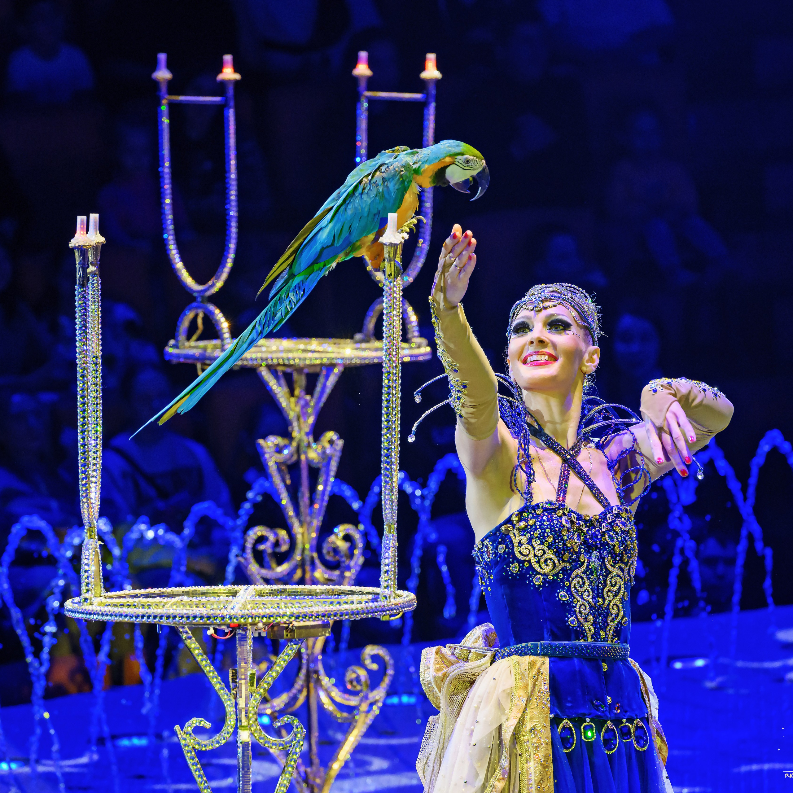 Принц Цирка (Продюсерский центр Влада Гончарова)🎪🦁. Фотограф Андрей Пухов (Jazz)